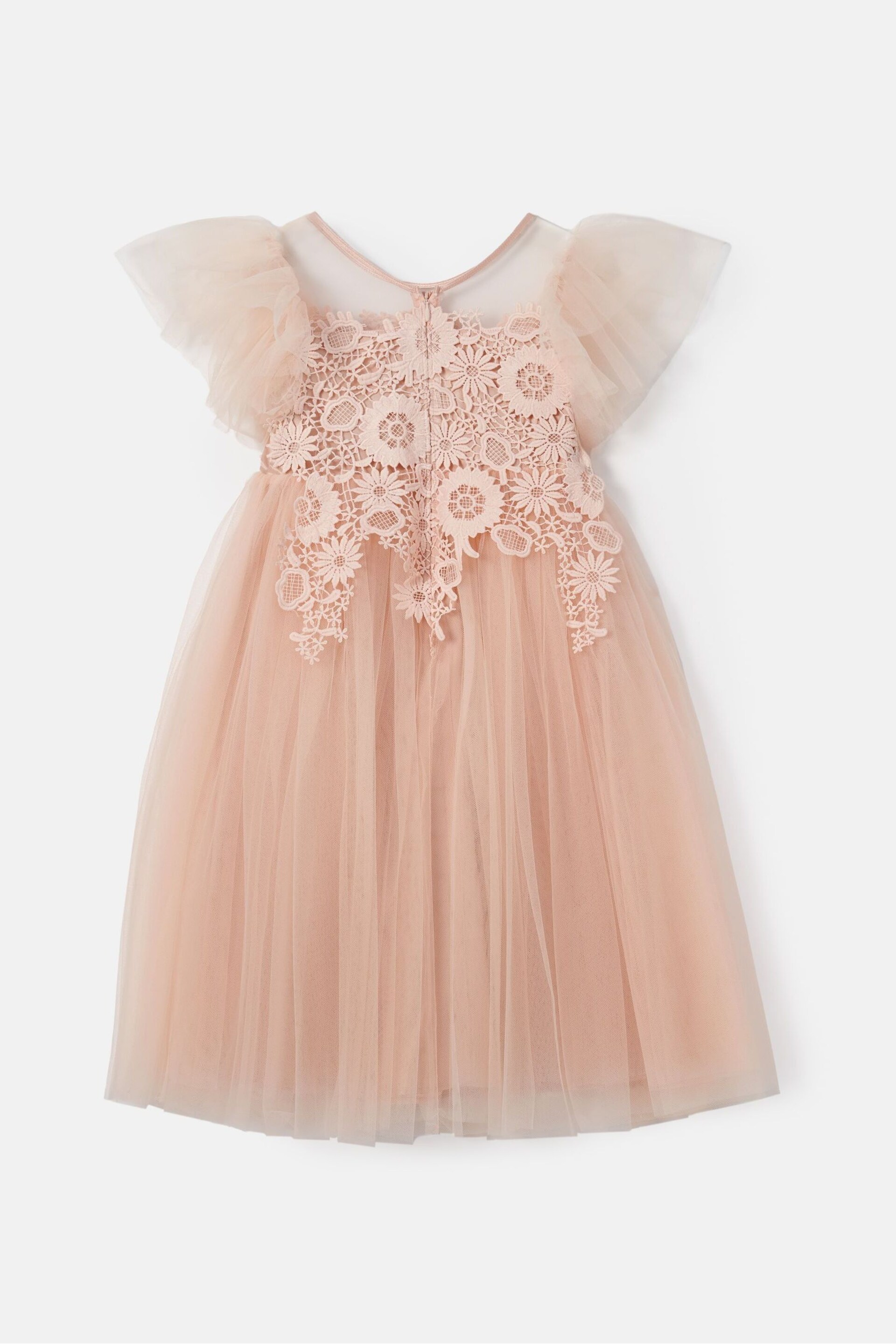 Angel & Rocket Pink Cascade Lace Anelise Dress - Image 8 of 9