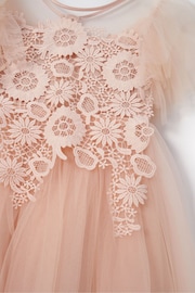 Angel & Rocket Pink Cascade Lace Anelise Dress - Image 9 of 9