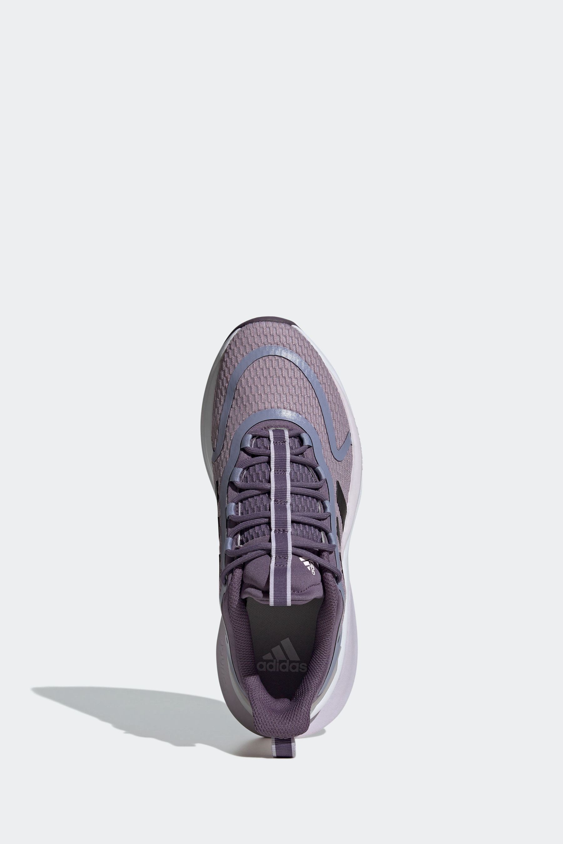Buy adidas Purple Sportswear Alphabounce Bounce Trainers from Next Iceland