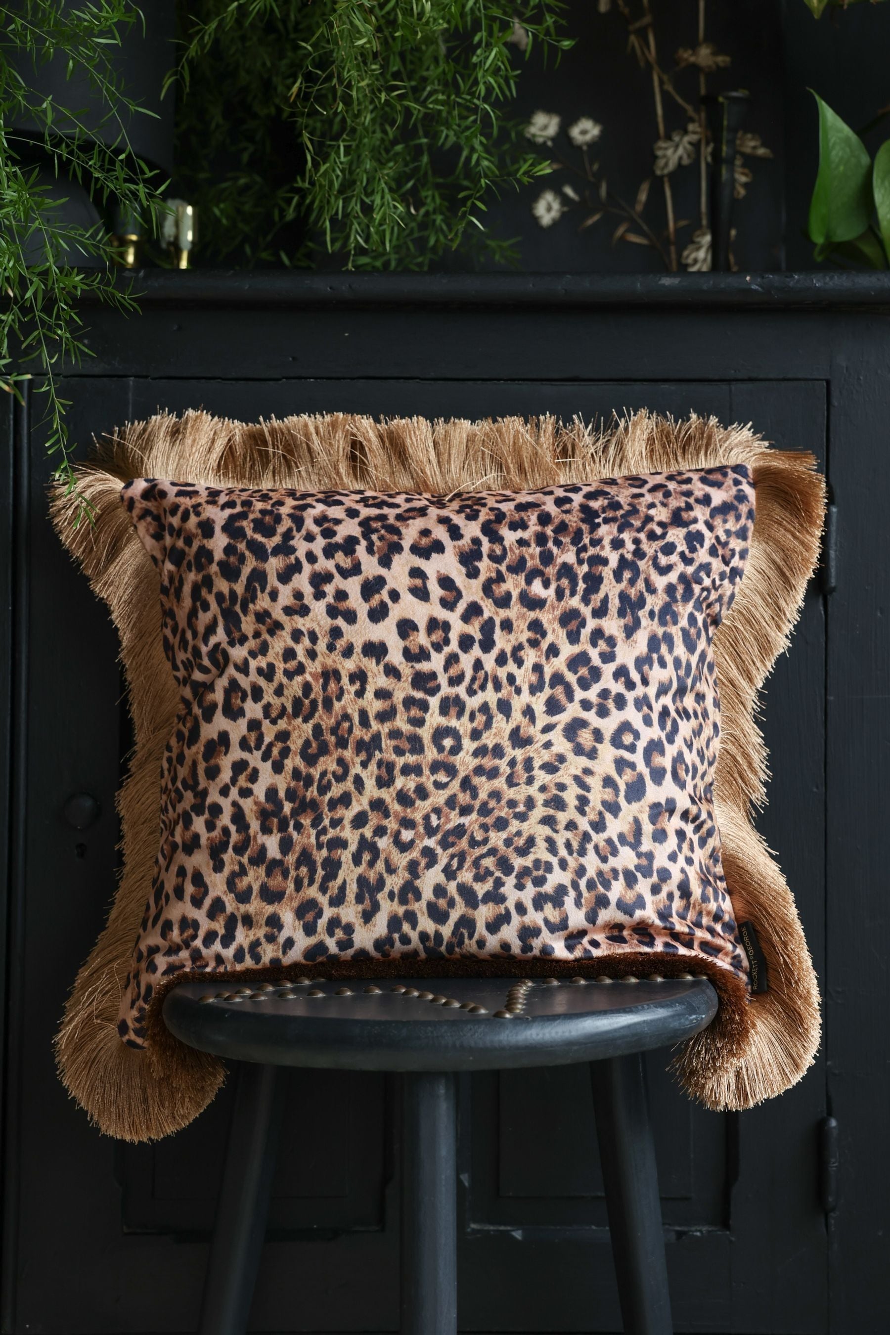 Buy Rockett St George Leopard Love Velvet Fringe Feather Filled Cushion from the Next UK online shop