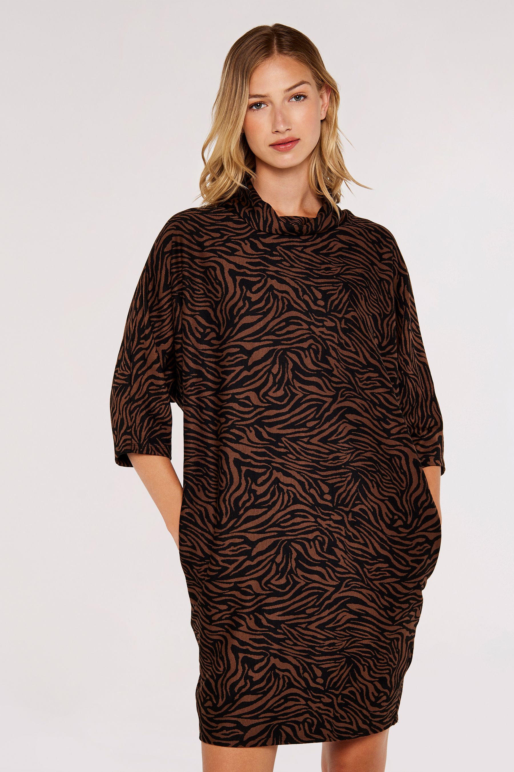 Zebra print shop dress next