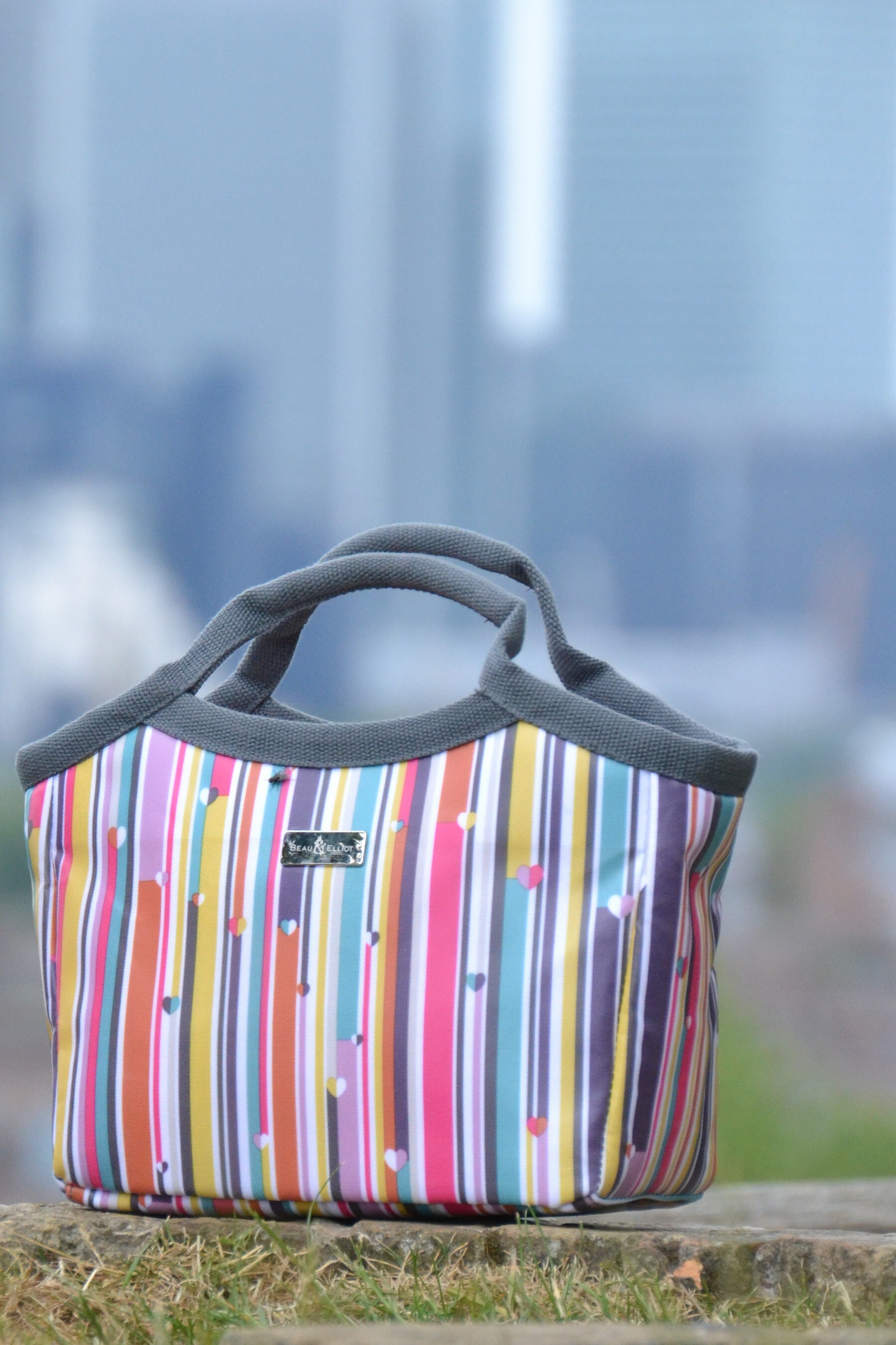 Next lunch bag discount