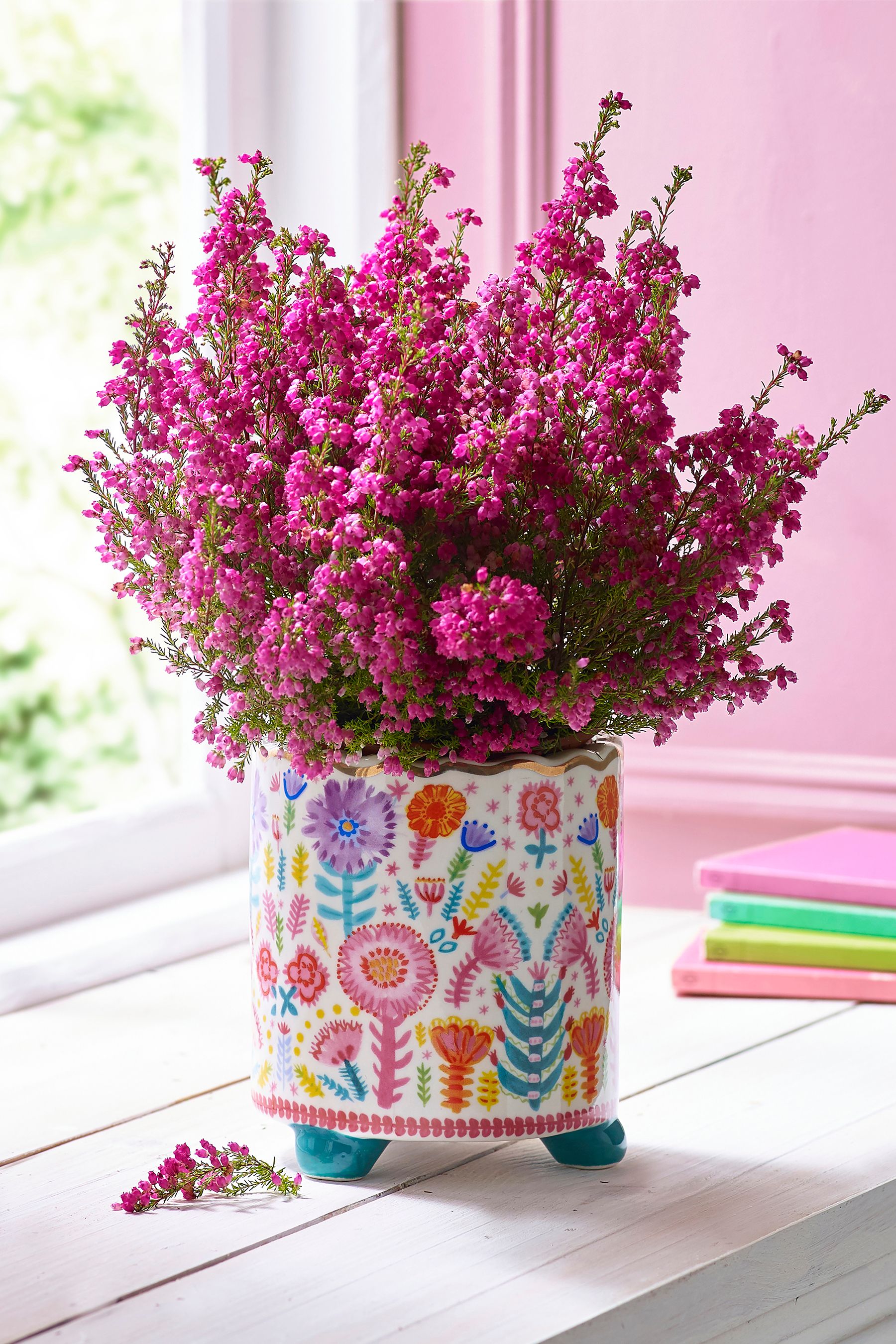Next plant pots new arrivals