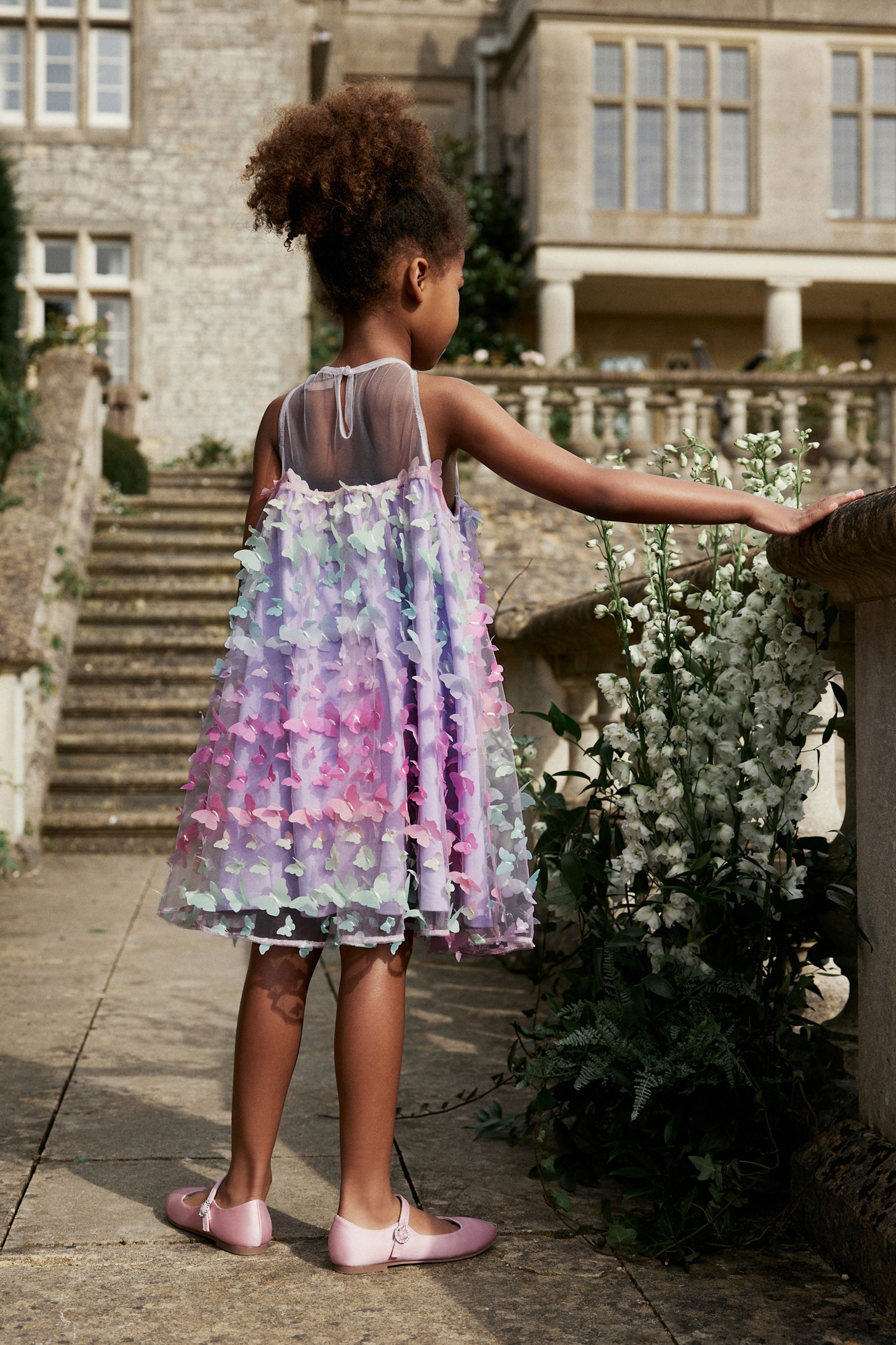 Next butterfly dress on sale