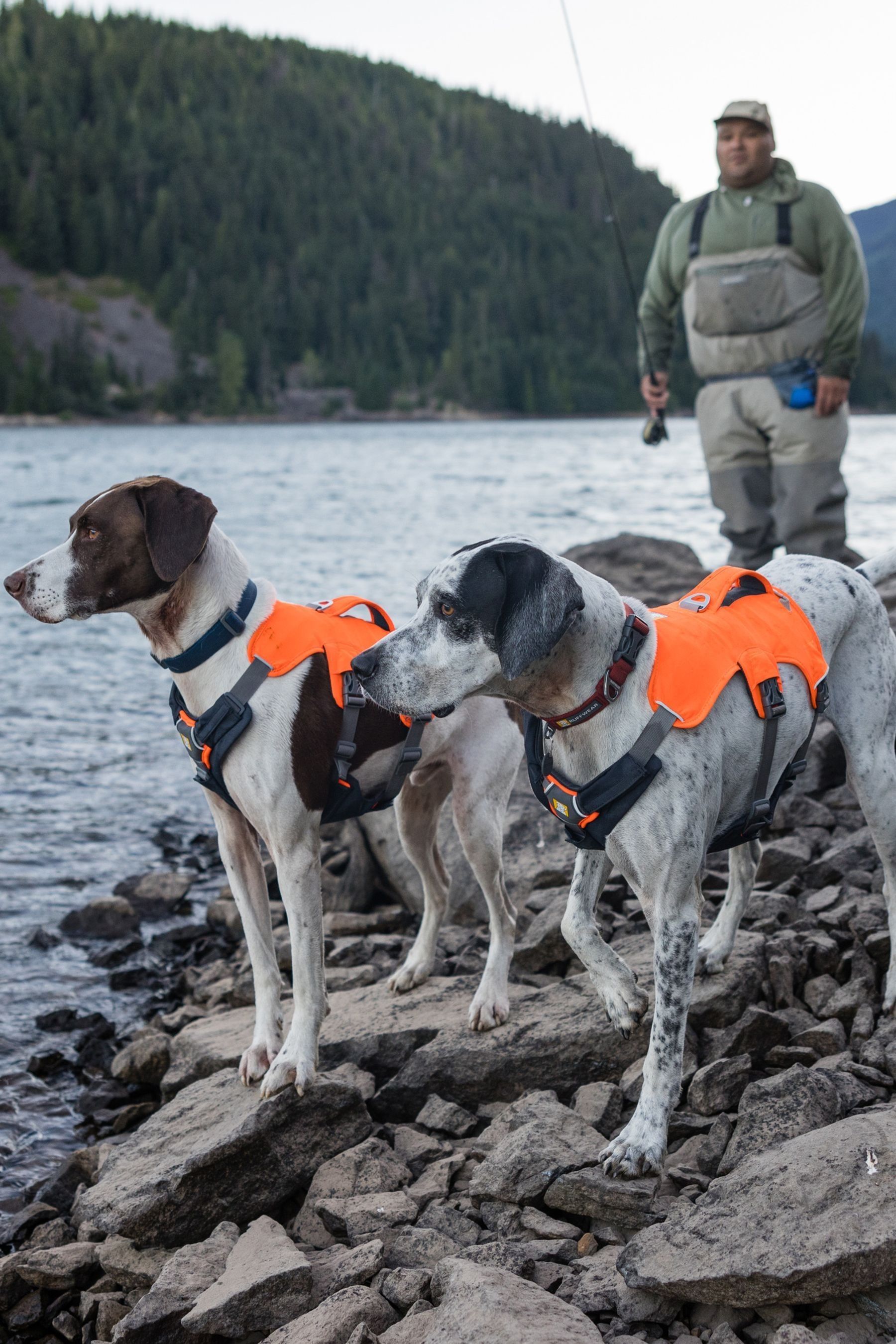 Buy Ruffwear Orange Web Master Dog Harness with Handle from the