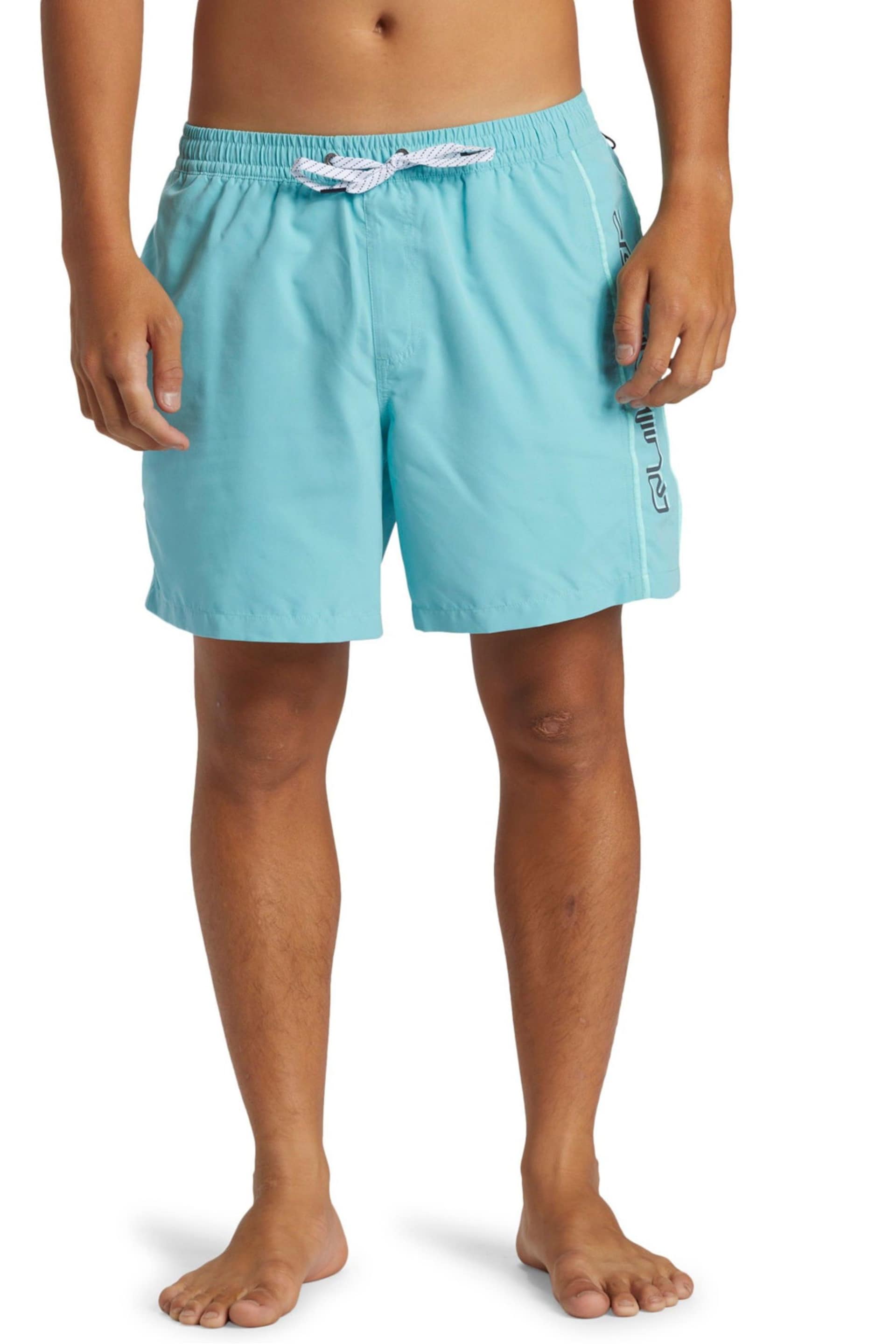 Quiksilver Blue Logo Volley Shorts - Image 1 of 7