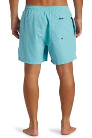 Quiksilver Blue Logo Volley Shorts - Image 2 of 7