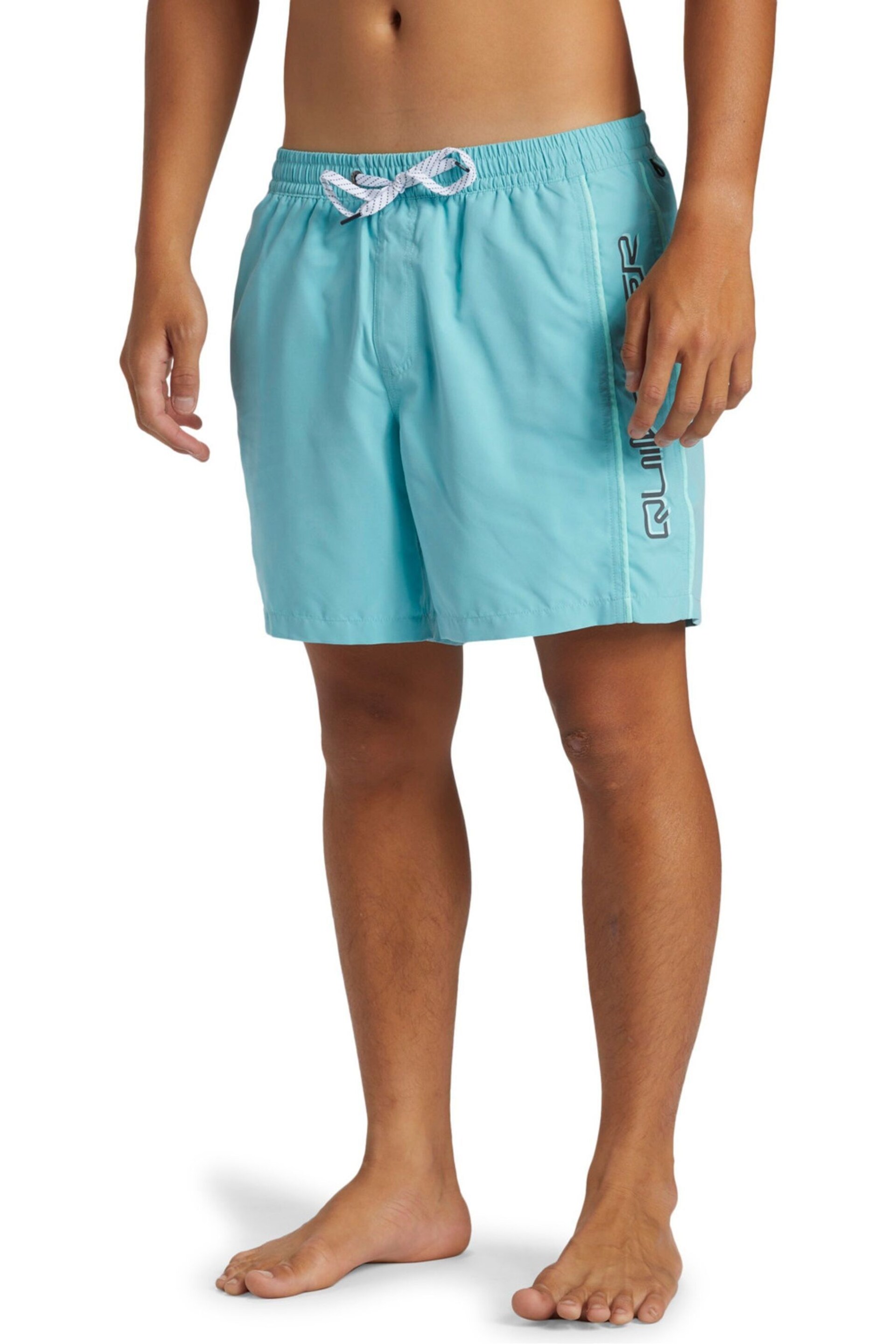 Quiksilver Blue Logo Volley Shorts - Image 3 of 7