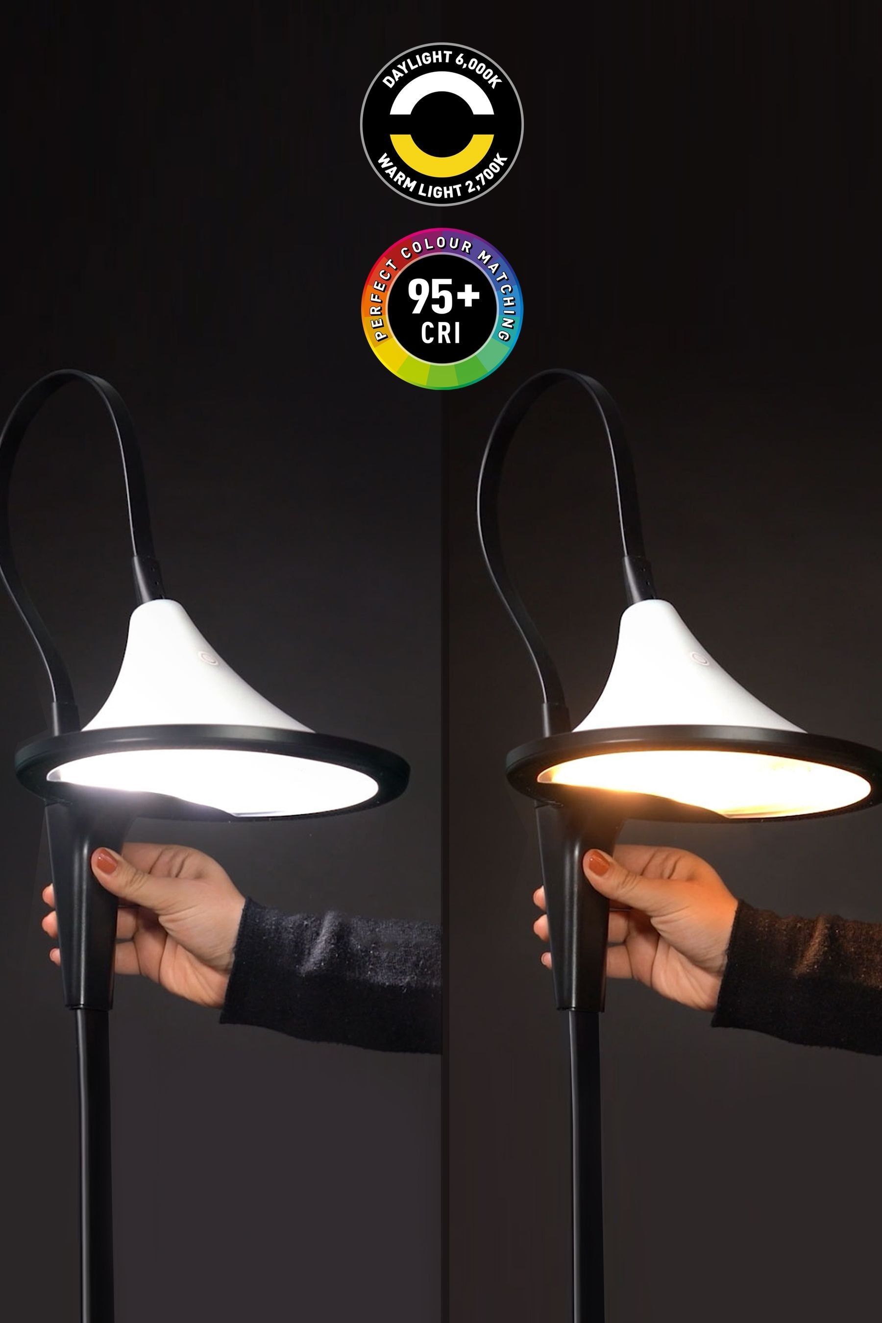 Buy Daylight Company Black Cometa Floor Reading Lamp from the Next