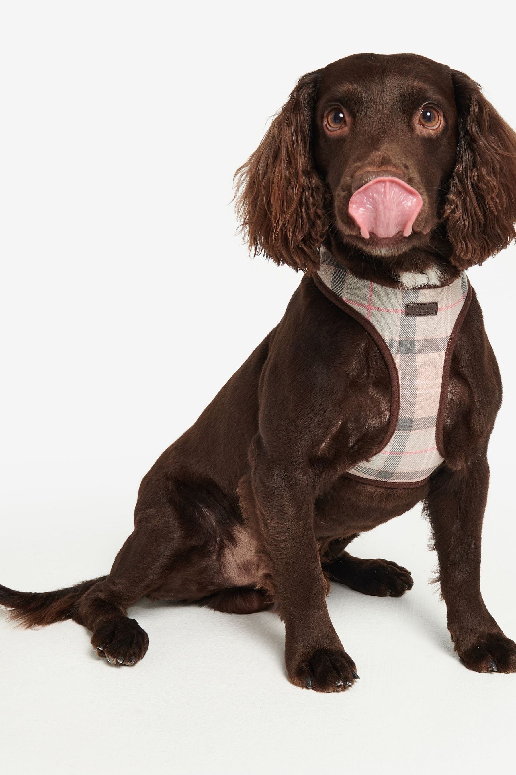 Barbour harness cheap pink