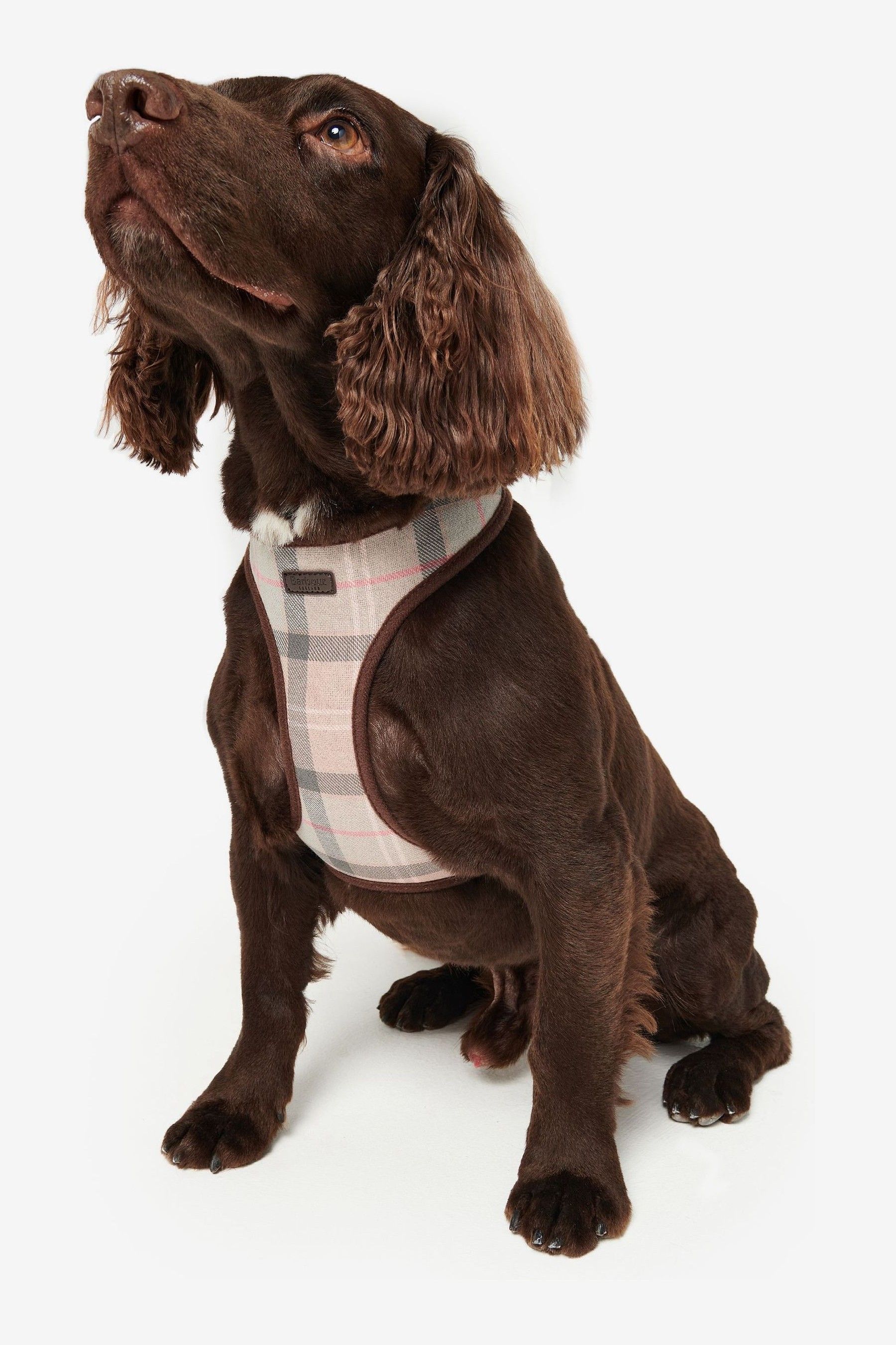 Pink tartan dog harness sale