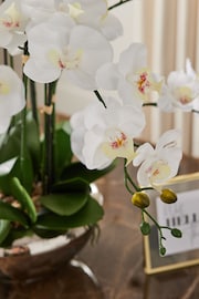 White Metallic Tabletop Artificial Orchid - Image 2 of 5