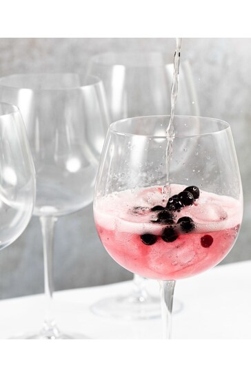 Buy Mikasa Set of 4 Clear Julie Gin Glasses from the Next UK online shop