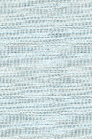 A Street Blue Grasscloth Textured Wallpaper