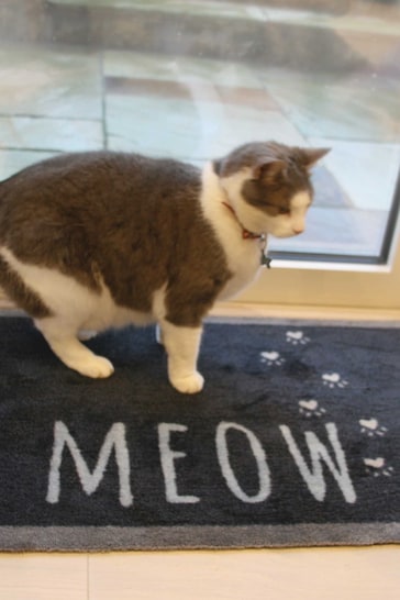 Howler & Scratch Multi Meow Washable Non Slip Doormat