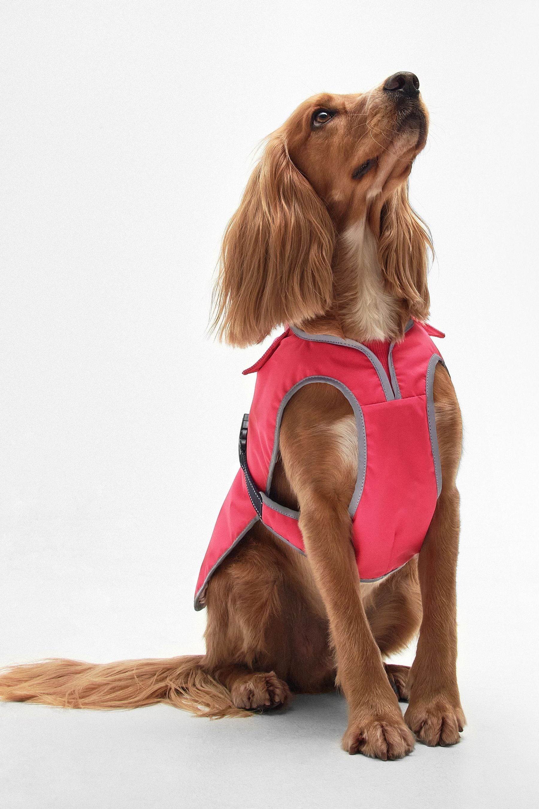 Pink dog barbour coat on sale