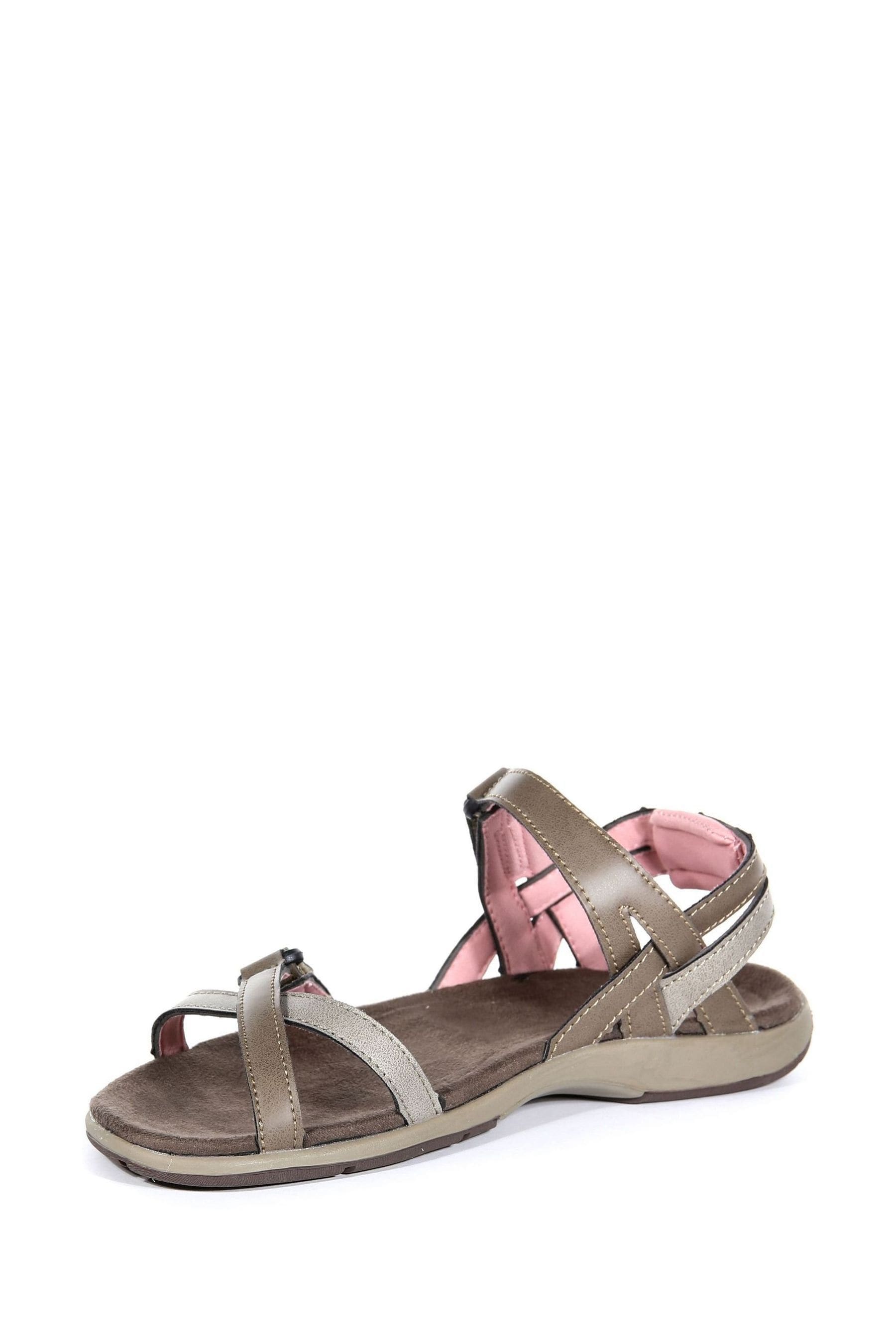 Buy Regatta Brown Lady Santa Cruz Sandals from the Next UK online shop