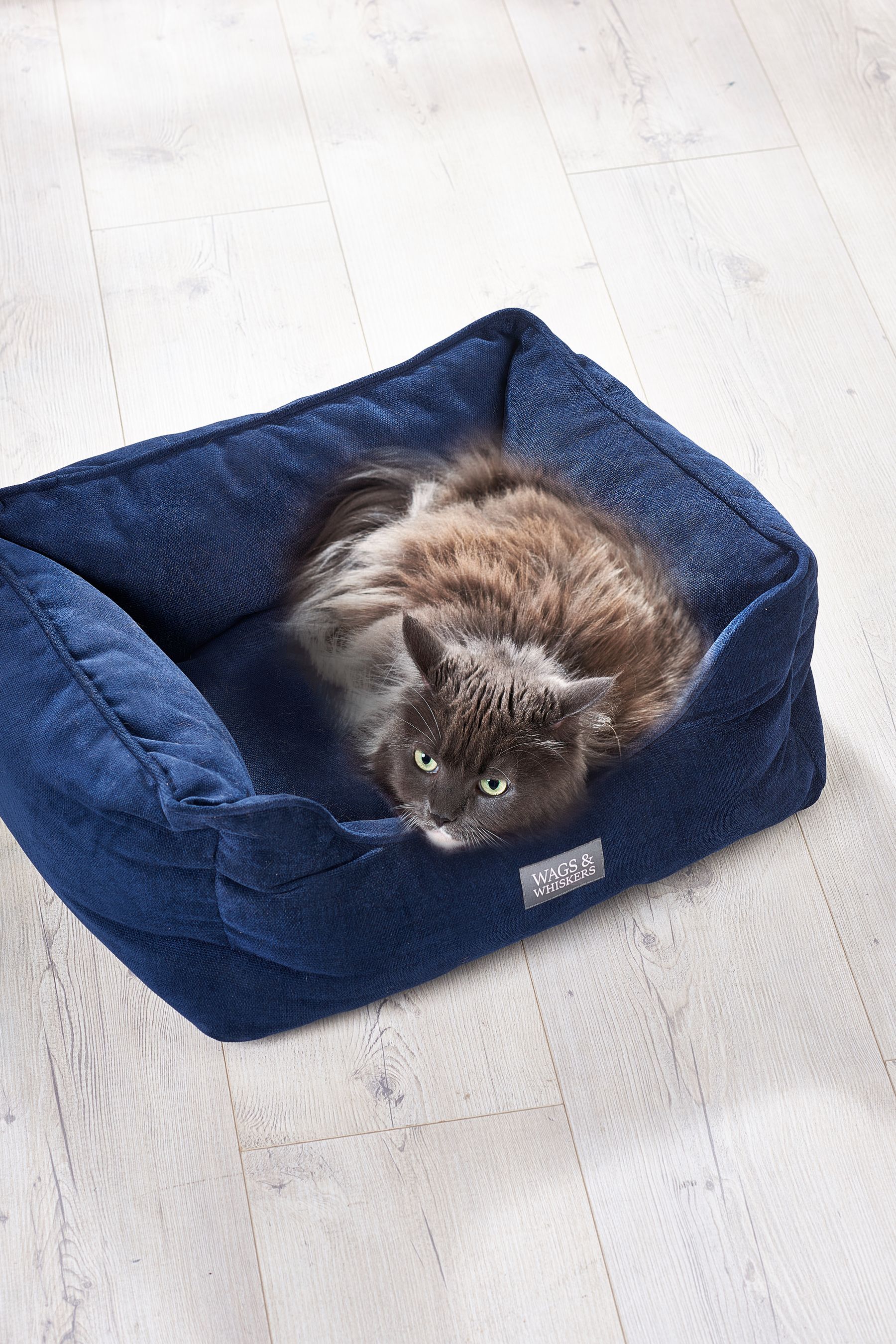 Blue cat bed 2025