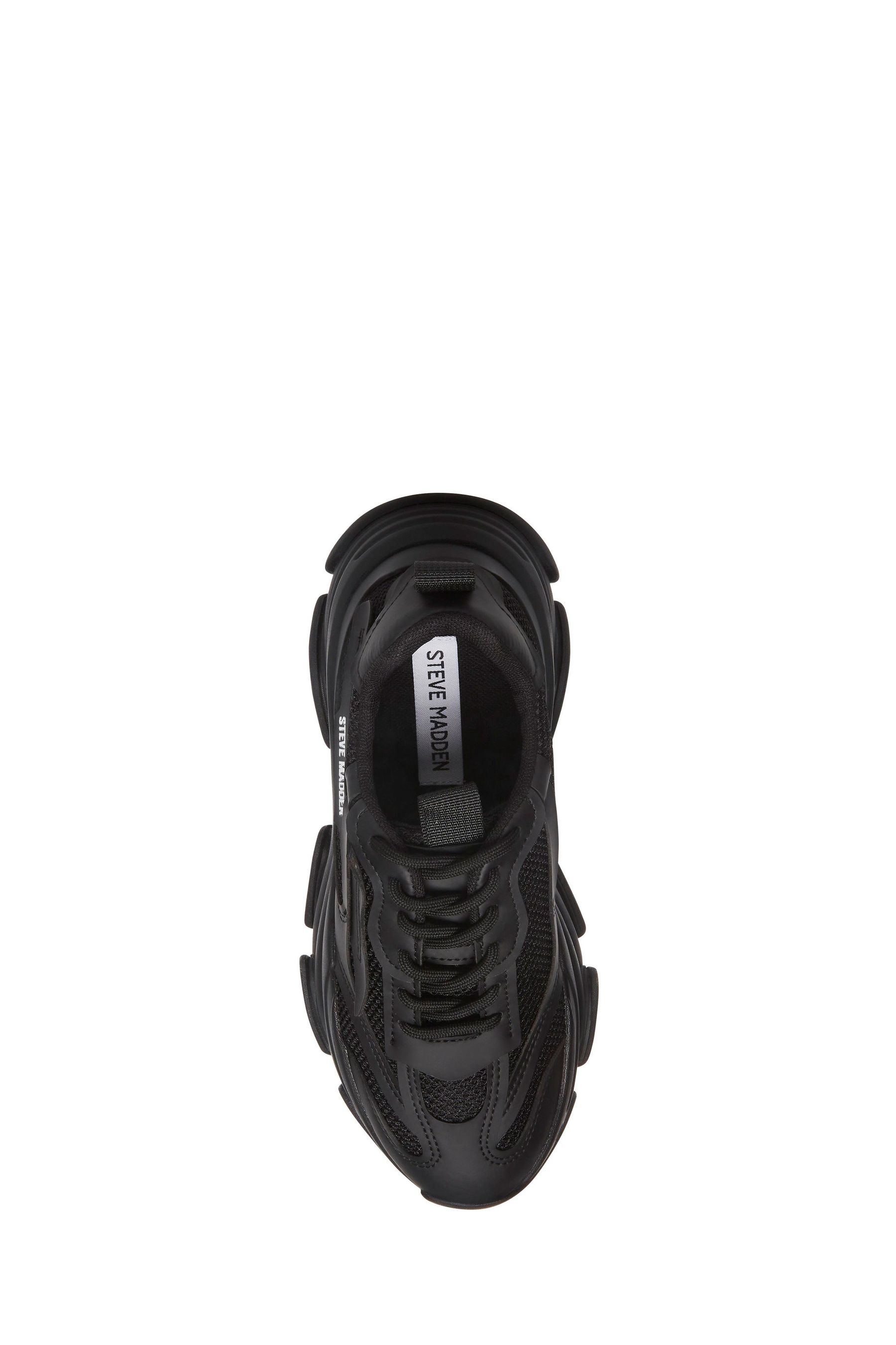 Steve madden sneakers 218 on sale