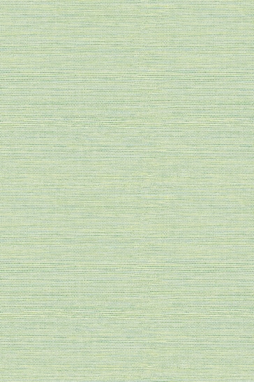 A Street Green Grasscloth Textured Wallpaper