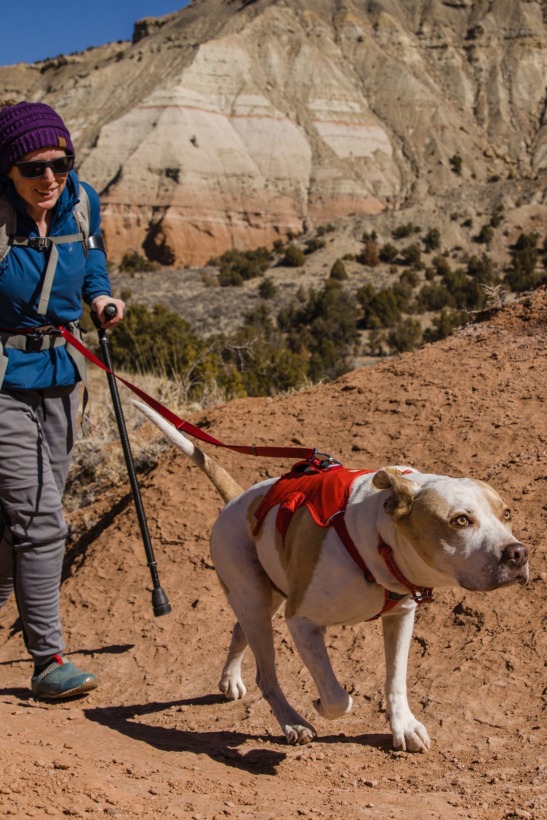 Buy Ruffwear Red Web Master Dog Harness with Handle from the Next
