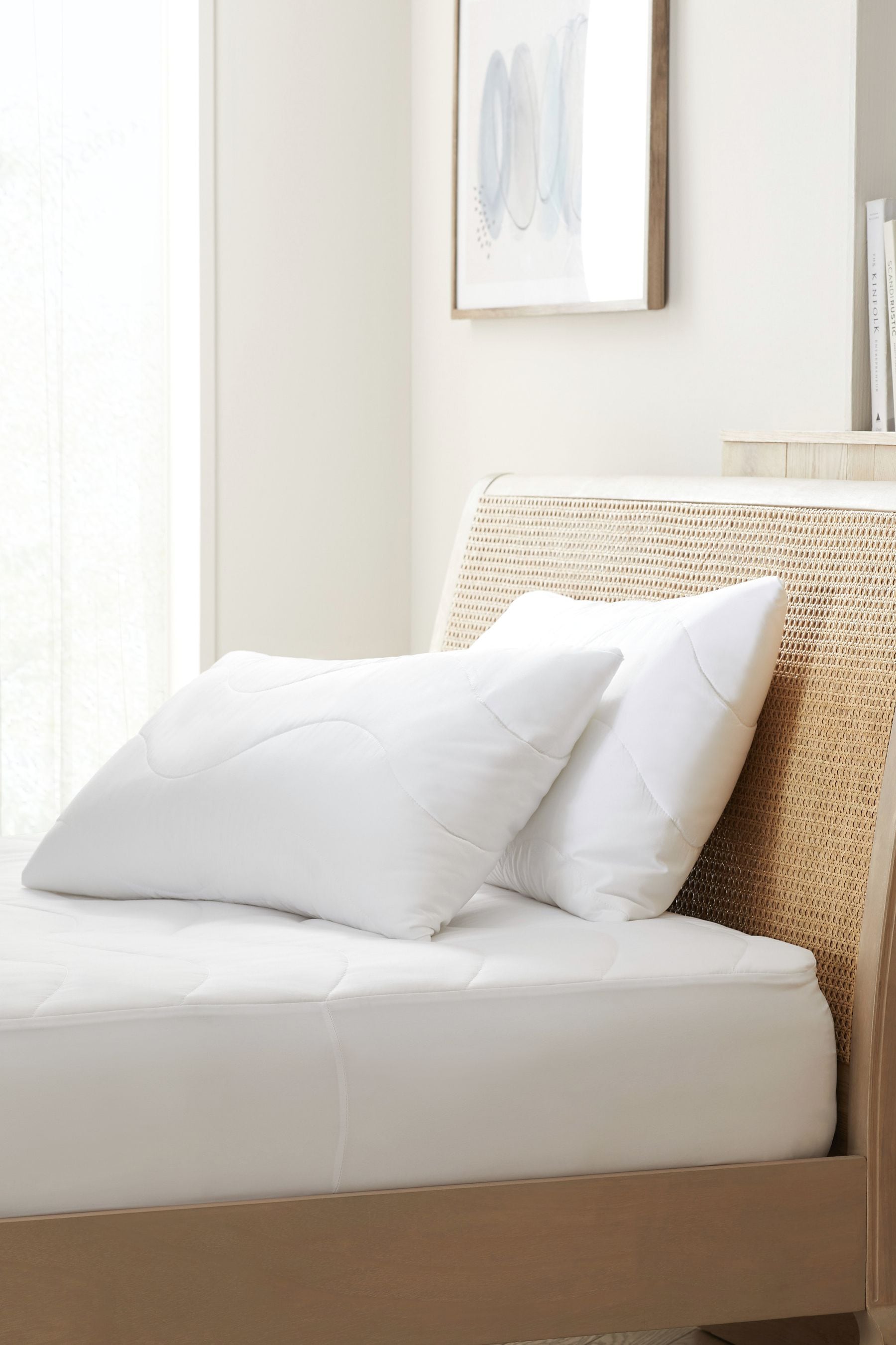 Next sleep in comfort pillows clearance