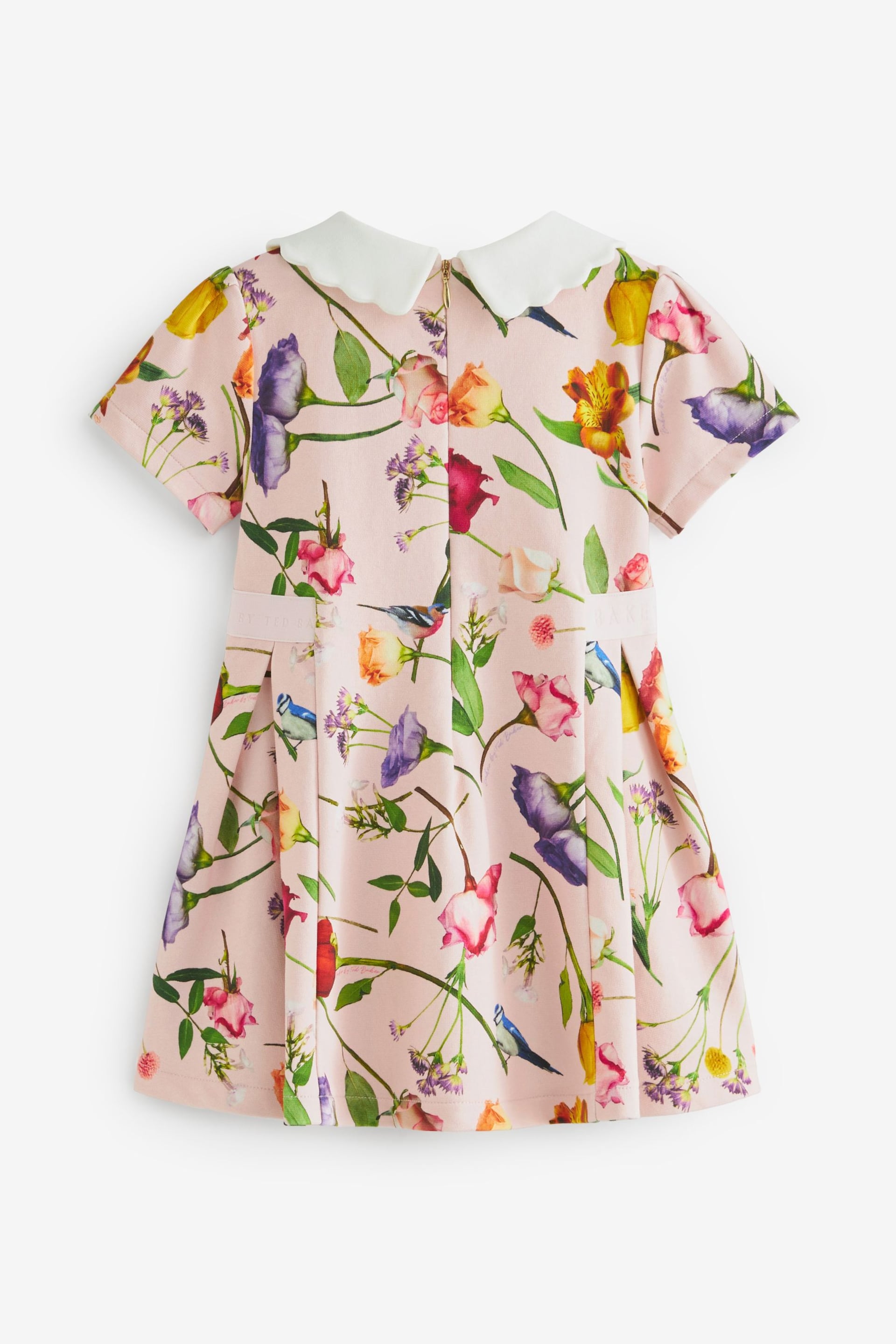 Baker by Ted Baker Pink Floral Collared Ponte Dress - Image 9 of 10