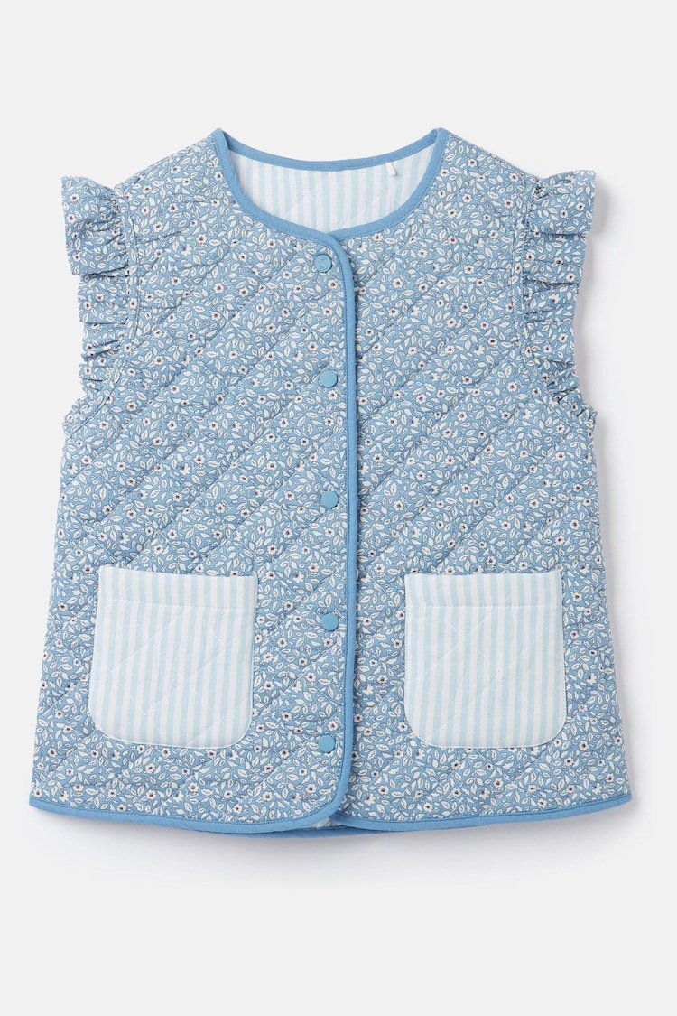 Joules Raye Blue Reversible Print Quilted Gilet - Image 1 of 5