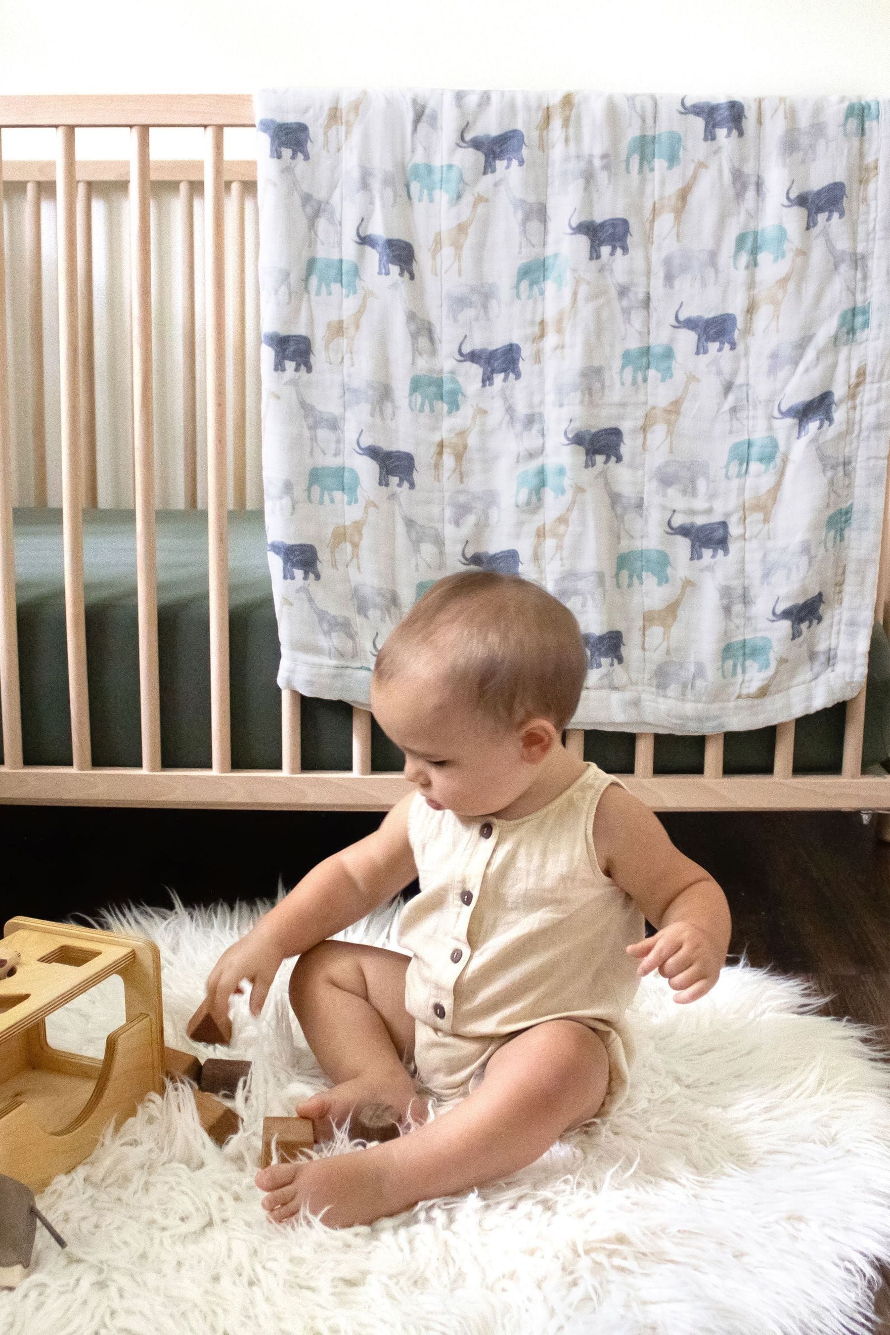 Aden anais silky soft dream blanket 2025