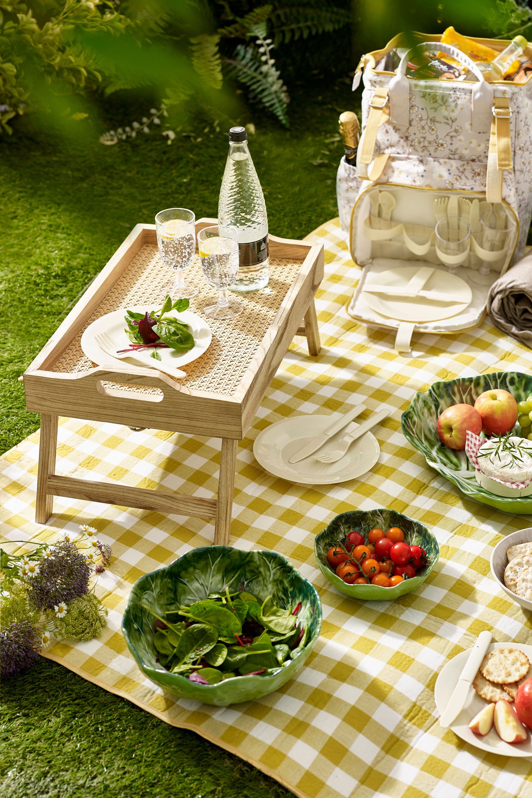 Next picnic rucksack shop