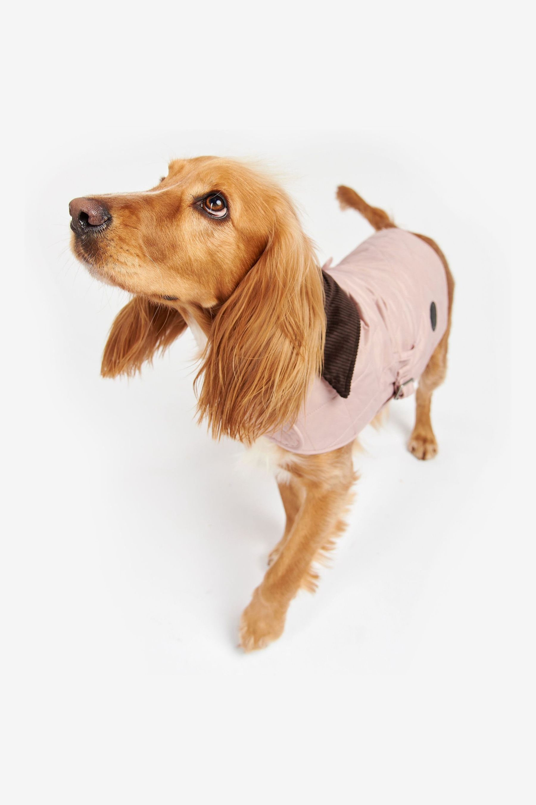 Barbour Pink Diamond Quilted Dog Coat
