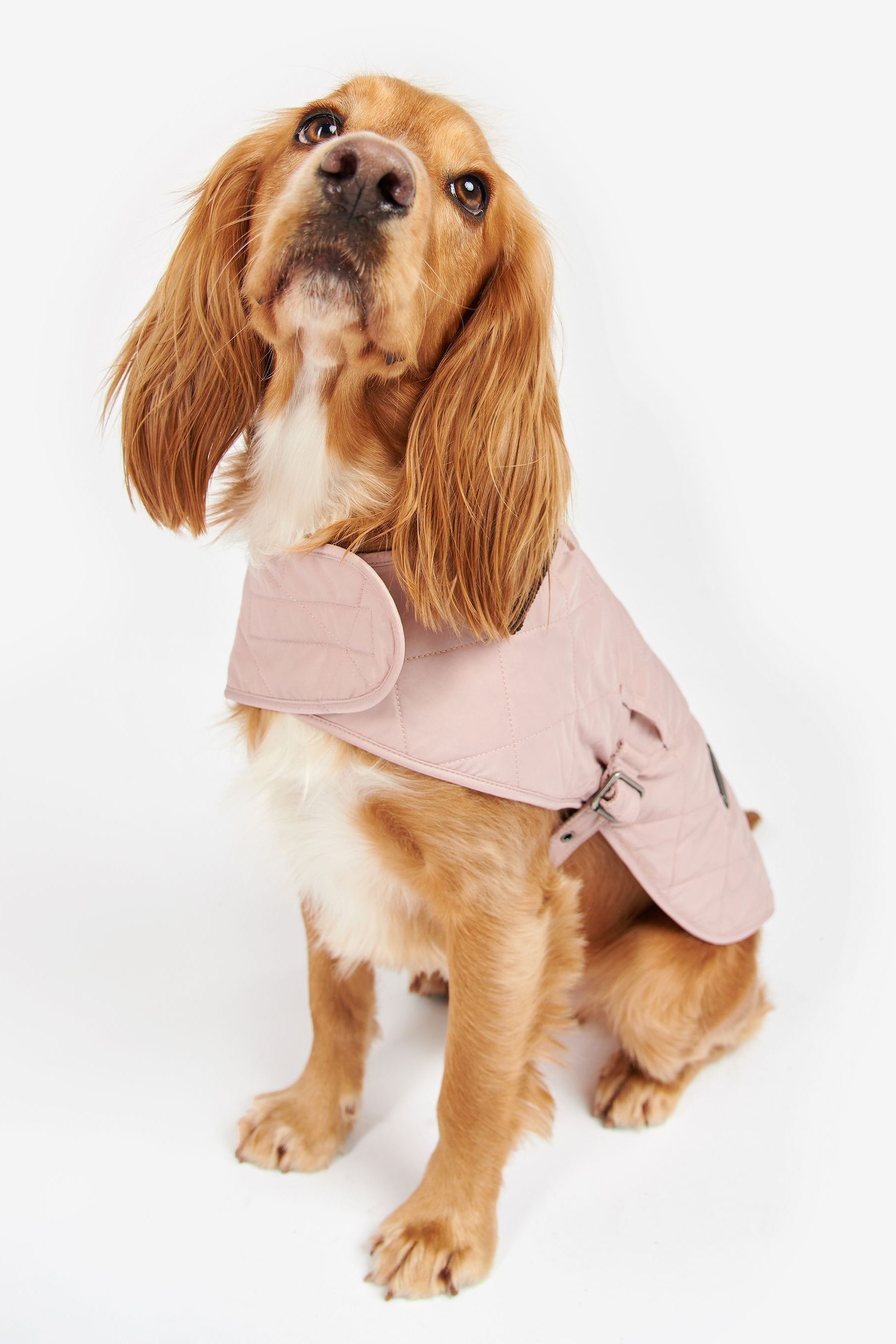 Barbour dog coat clearance