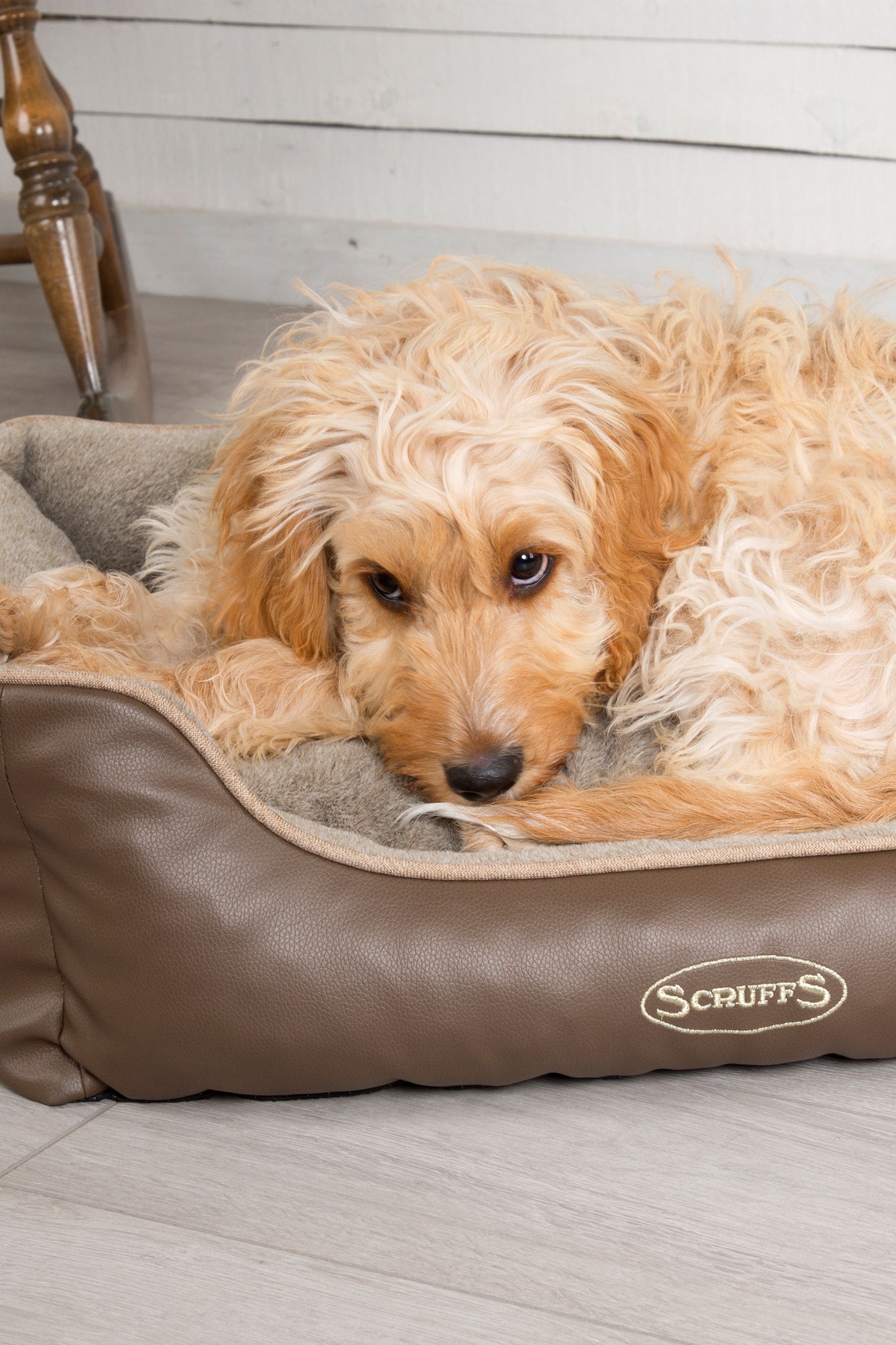 Scruffs chateau box sales bed