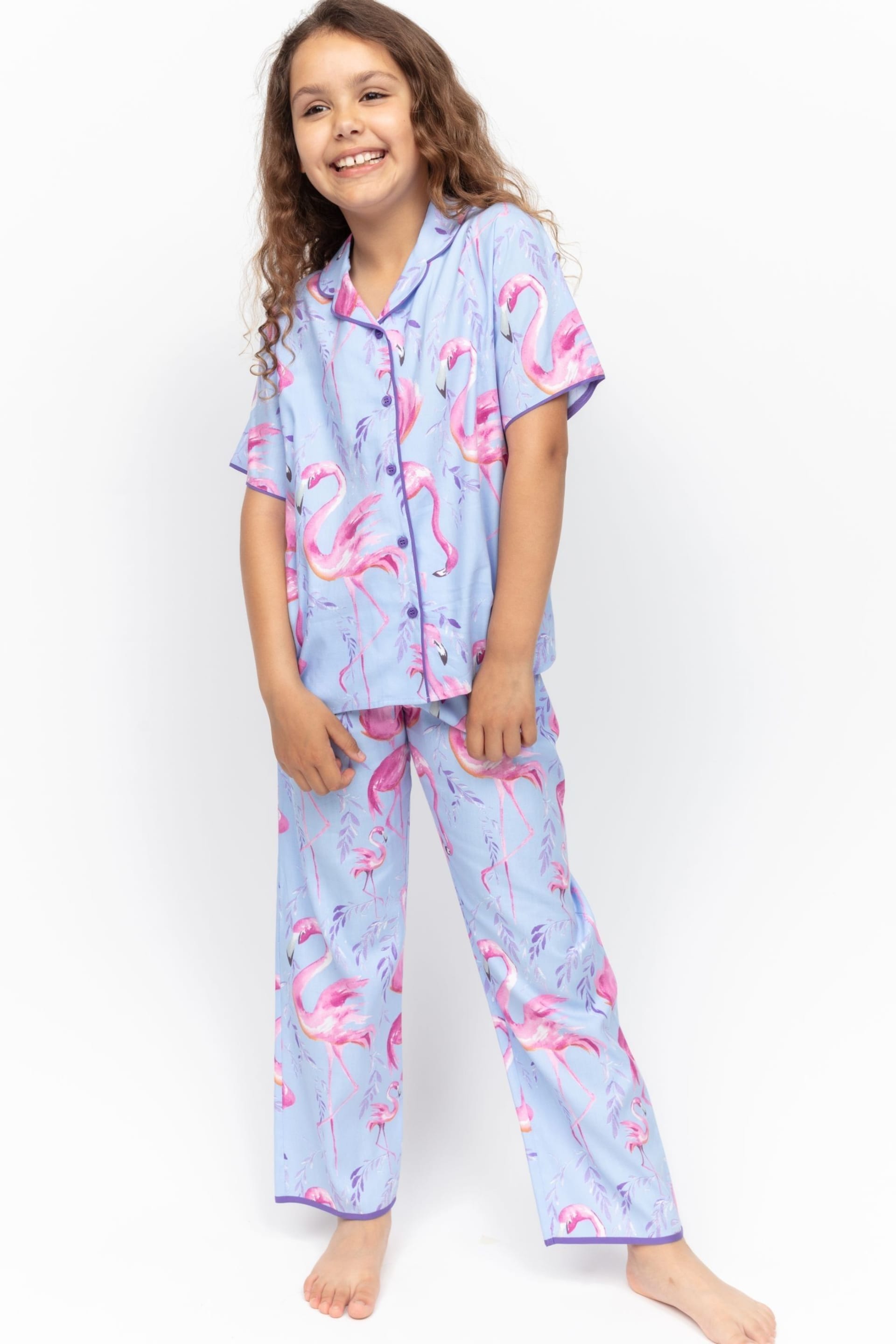 Minijammies Blue Flamingo Print Short Sleeve Pyjamas Set - Image 1 of 4