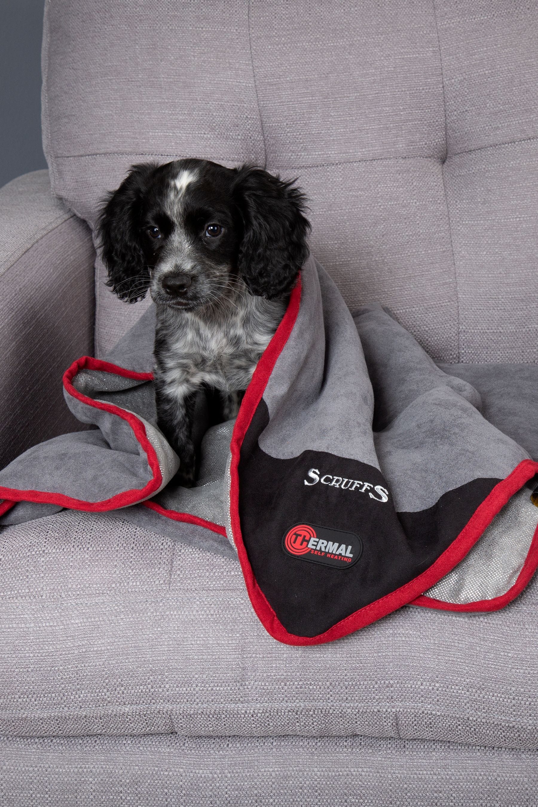 Dog thermal blanket on sale