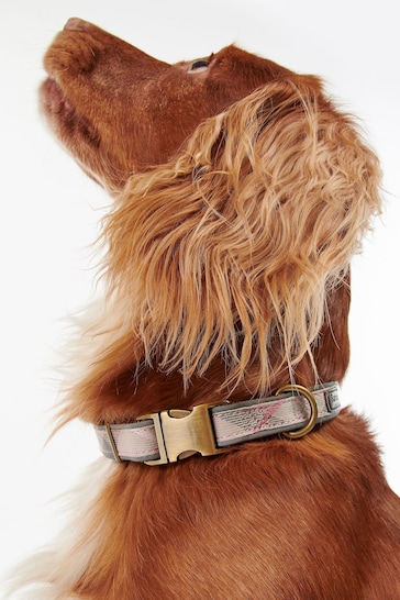 Barbour® Pink Reflective Tartan Dog Collar