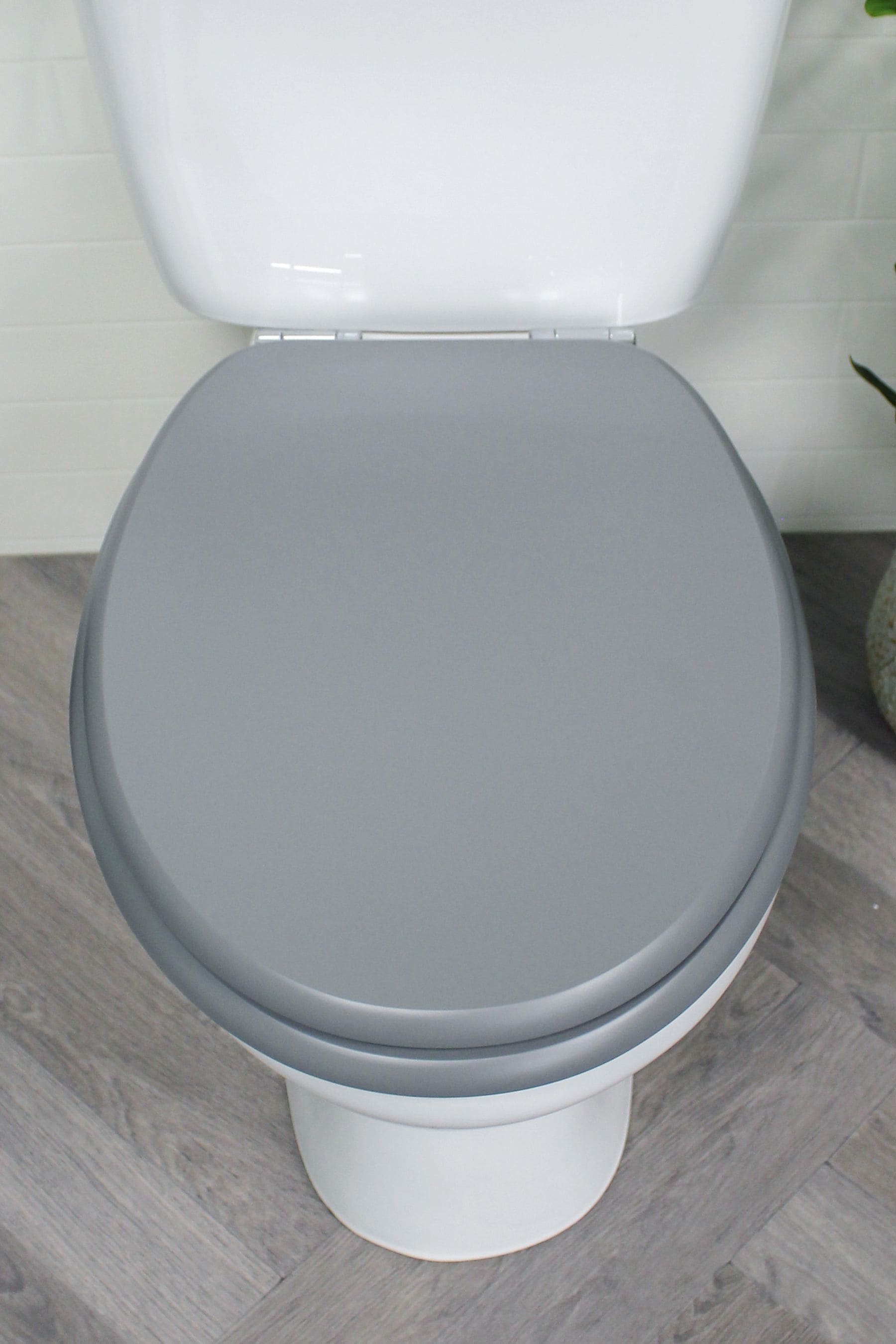 Next sales toilet seat
