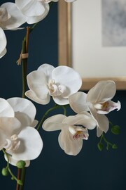 White Artificial Real Touch Orchid In Hex Embossed Pot - Image 2 of 4