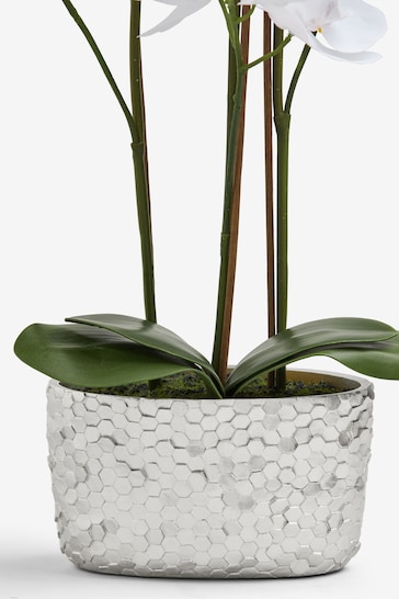 White Artificial Real Touch Orchid In Hex Embossed Pot