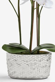 White Artificial Real Touch Orchid In Hex Embossed Pot - Image 3 of 4