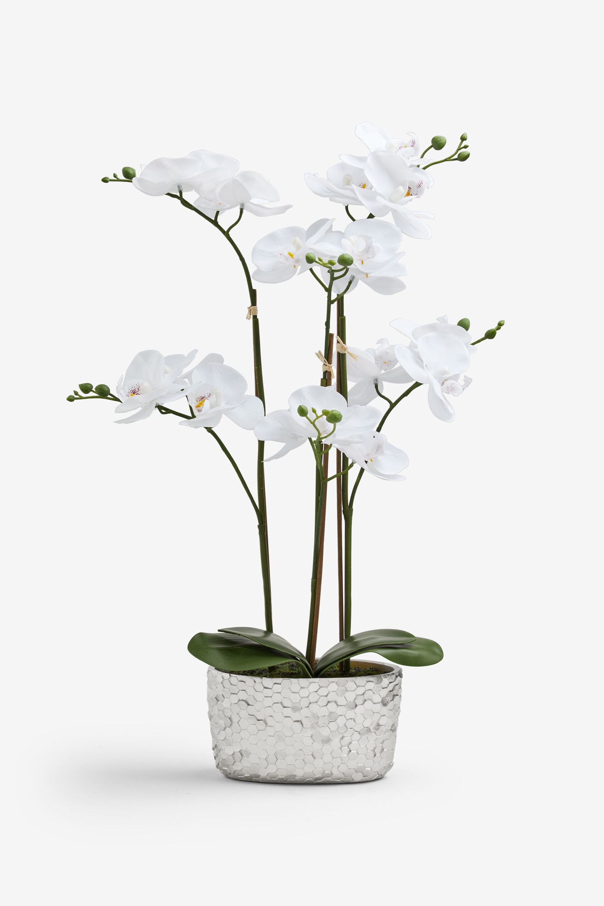 White Artificial Real Touch Orchid In Hex Embossed Pot - Image 4 of 4