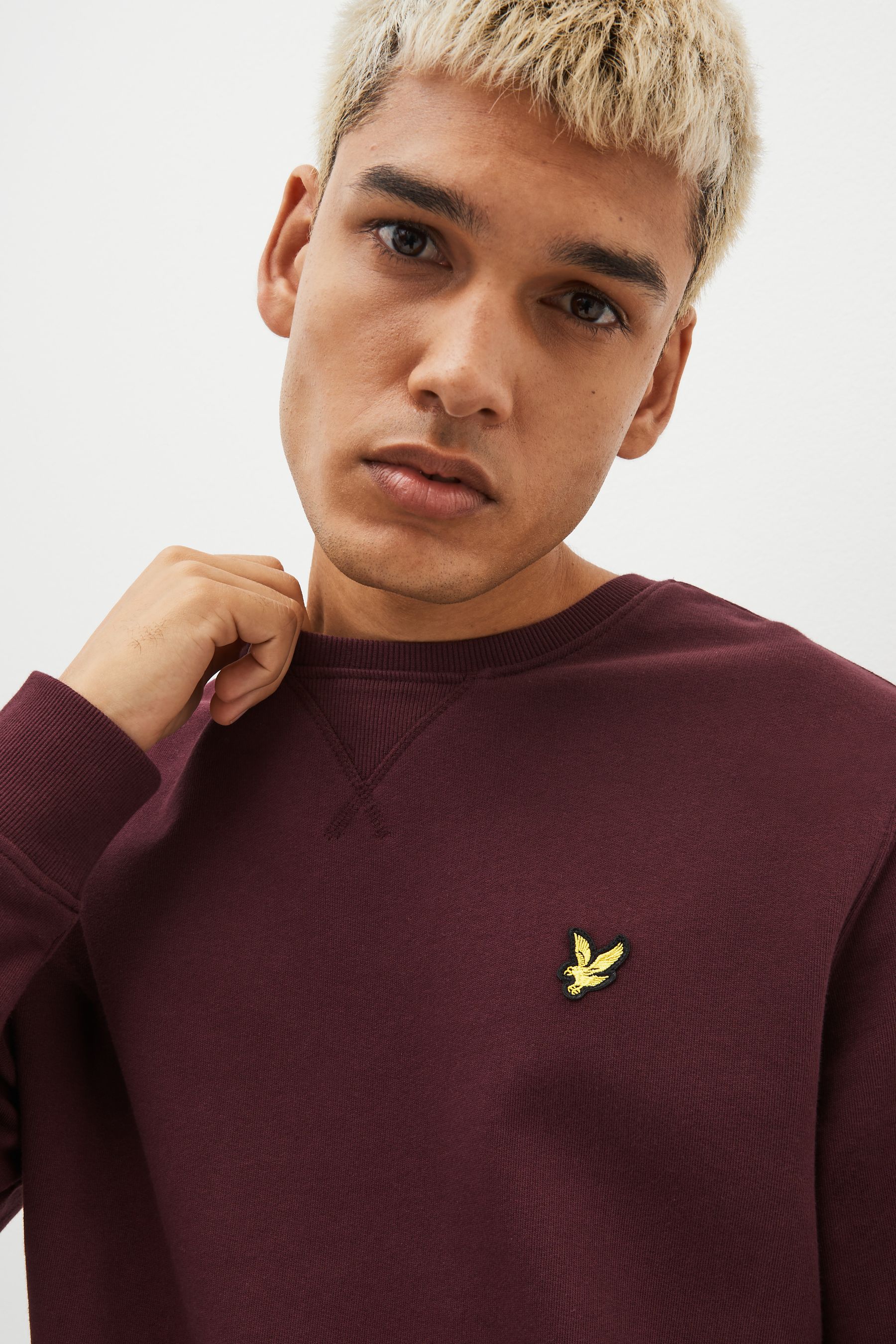 Buy Lyle Scott Burgundy Red Crew Neck 100 Cotton Sweatshirt from Next Luxembourg