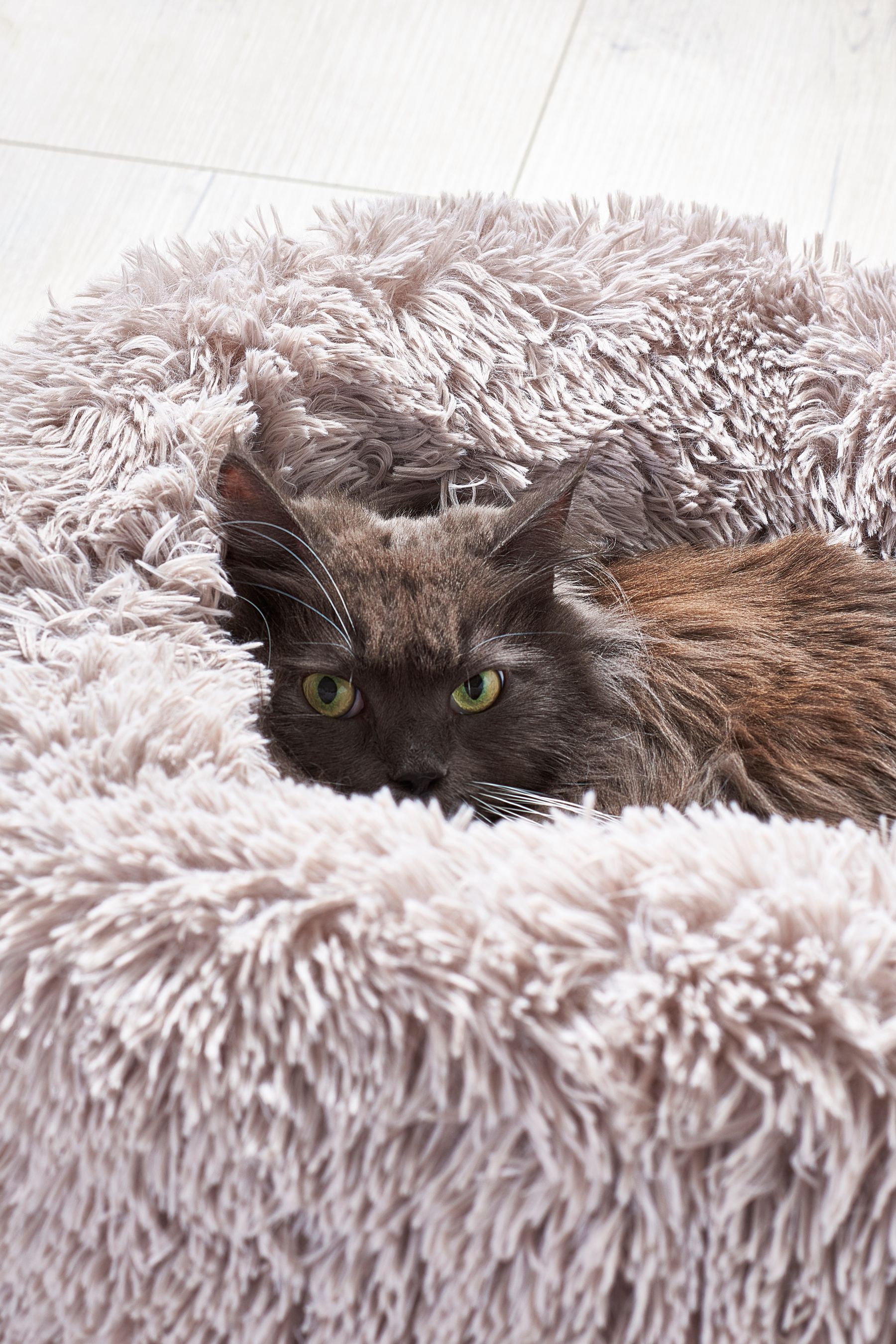 Buy Grey Round Faux Fur Pet Bed from the Next UK online shop