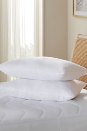 Set of 2 Sleep In Comfort Medium Pillows - Image 1 of 3