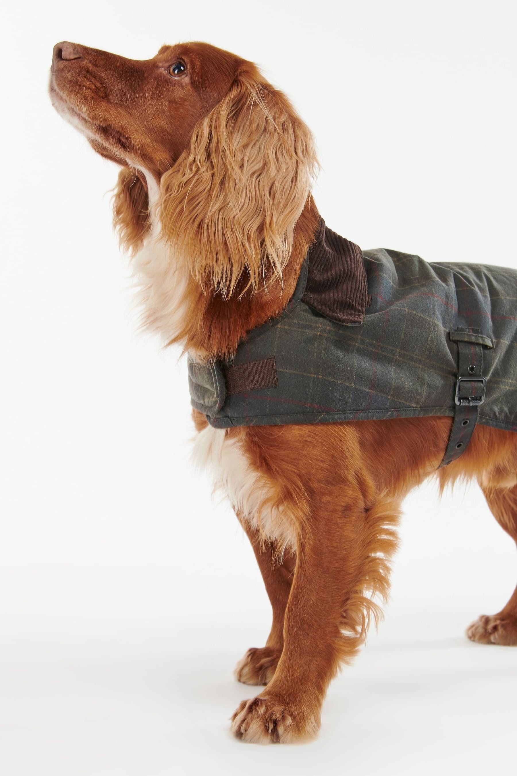Buy Barbour Olive Green Tartan Wax Dog Coat from the Next UK online shop