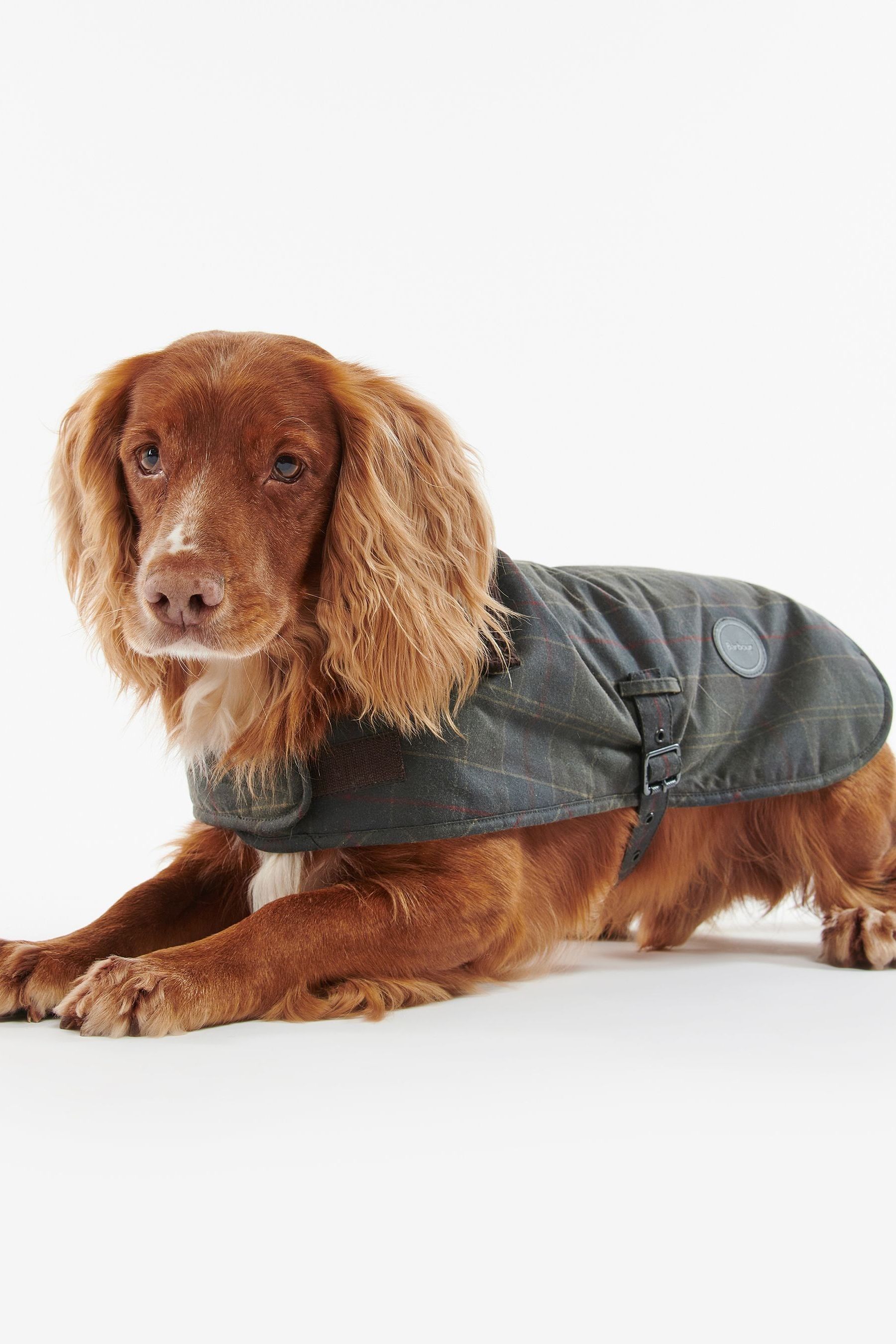 Barbour dog wax coat store