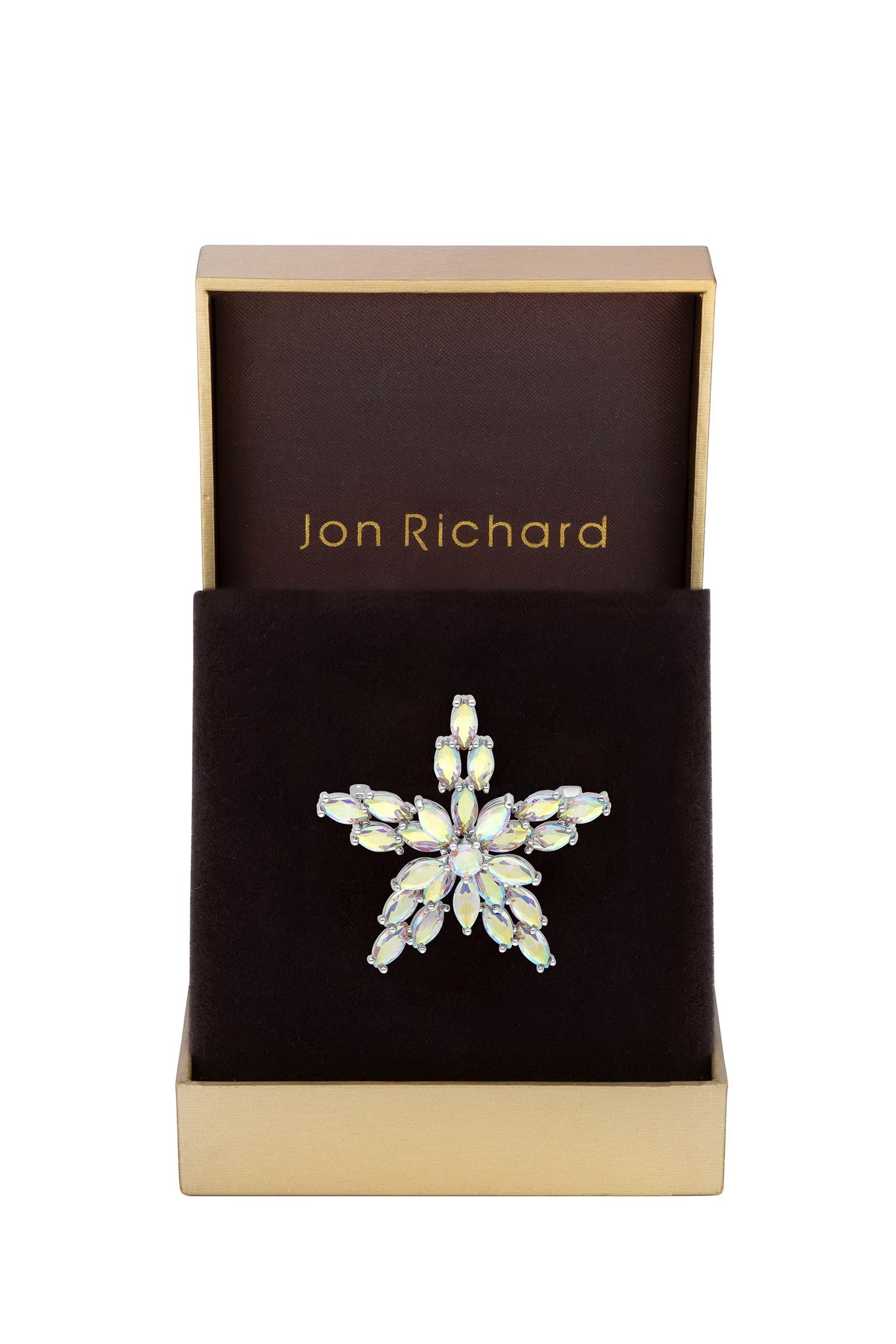 Statement brooch discount
