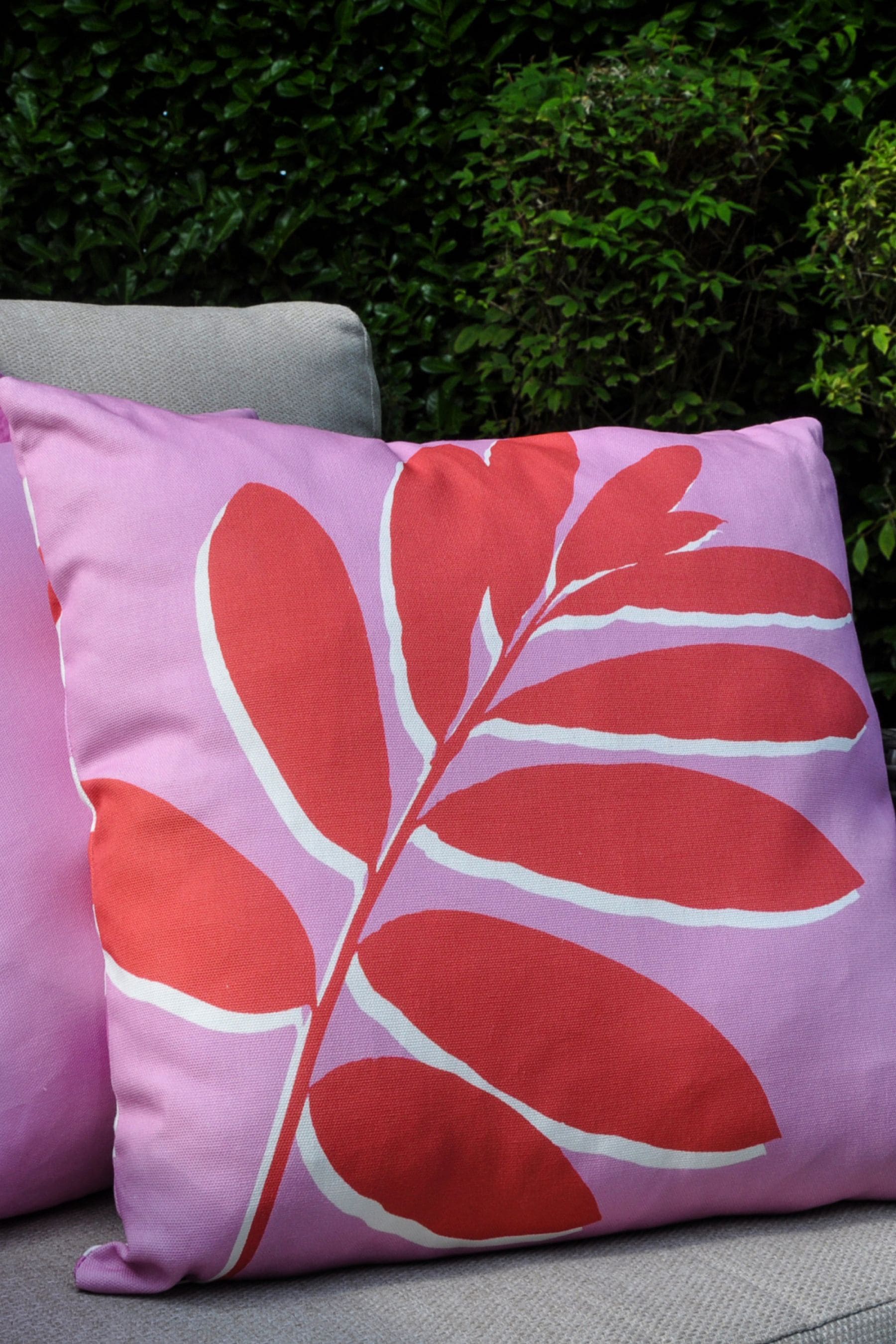Pink outdoor cushions top