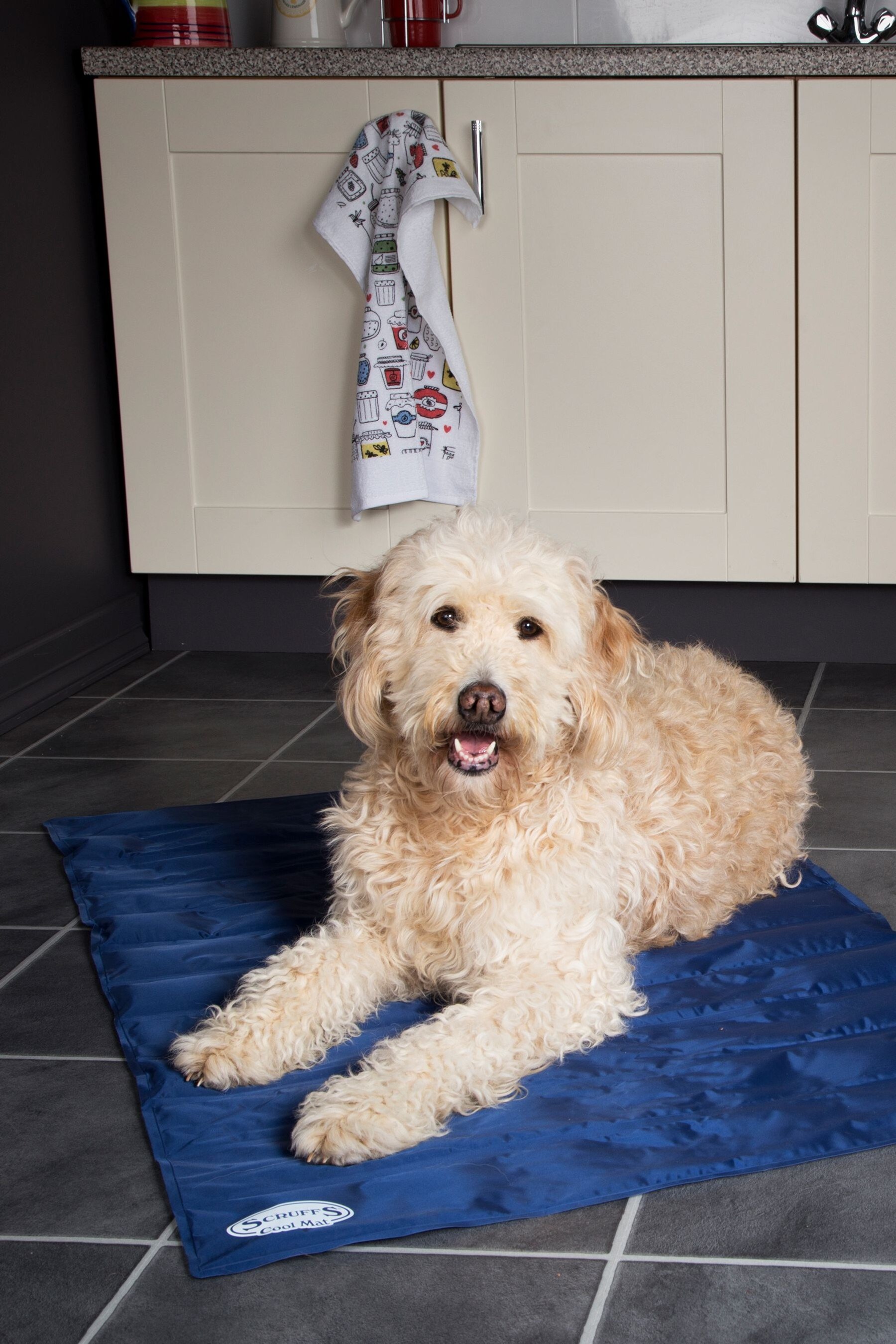 Scruffs Blue Large Cool Mat