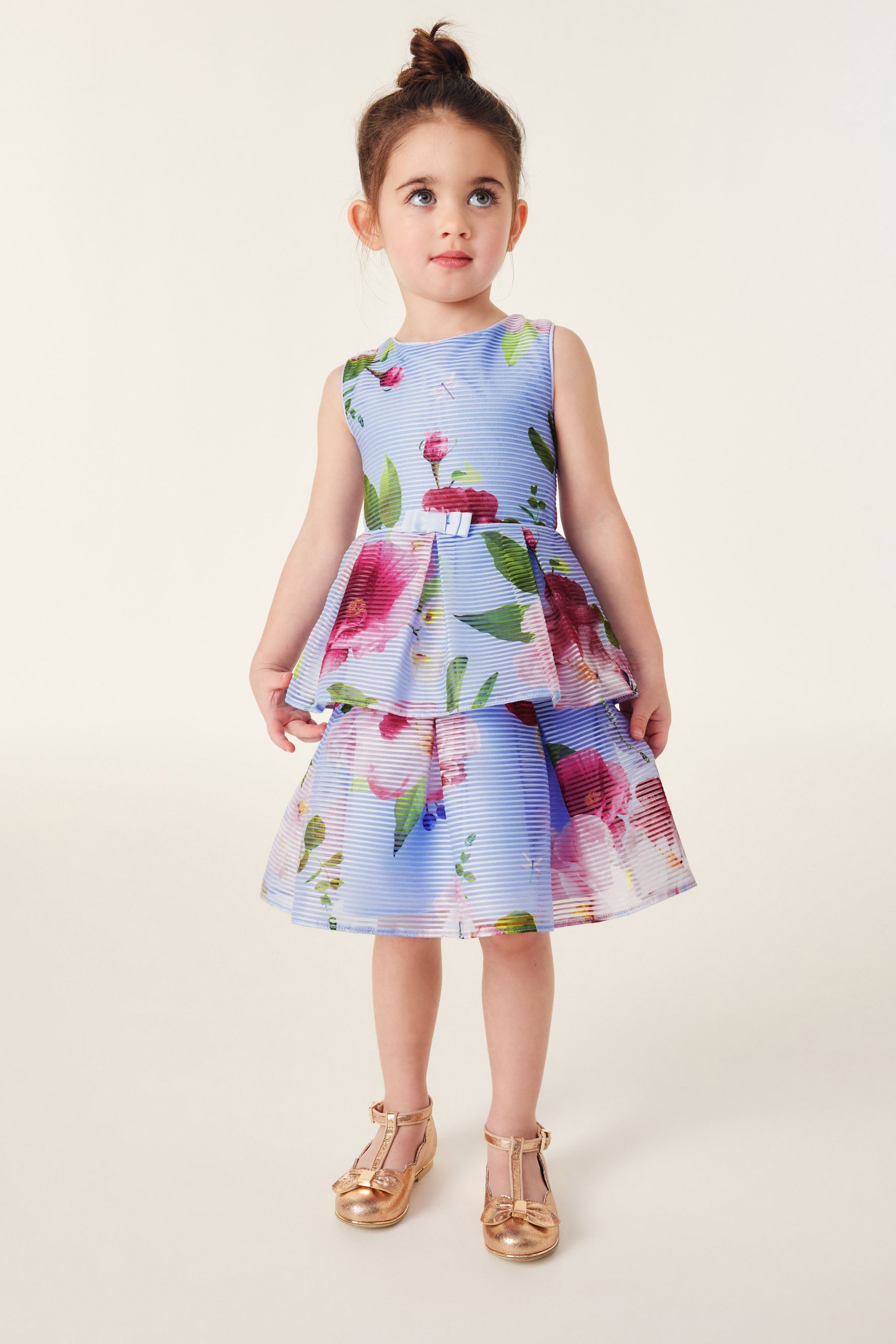 Buy Baker by Ted Baker Floral Striped Dress from the Next UK online shop